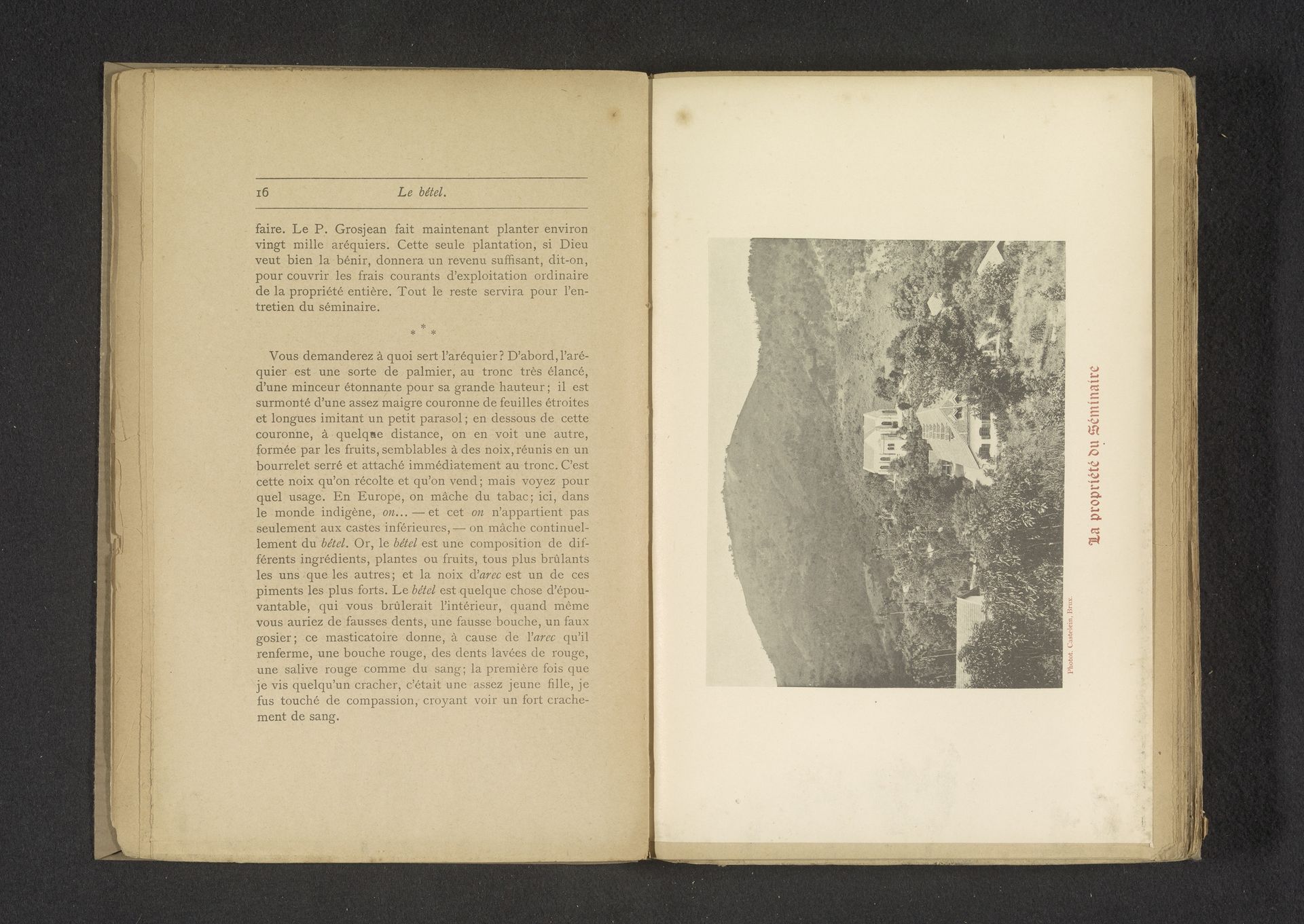 Gezicht op een klooster in de bergen in Sri Lanka by E. Castelein