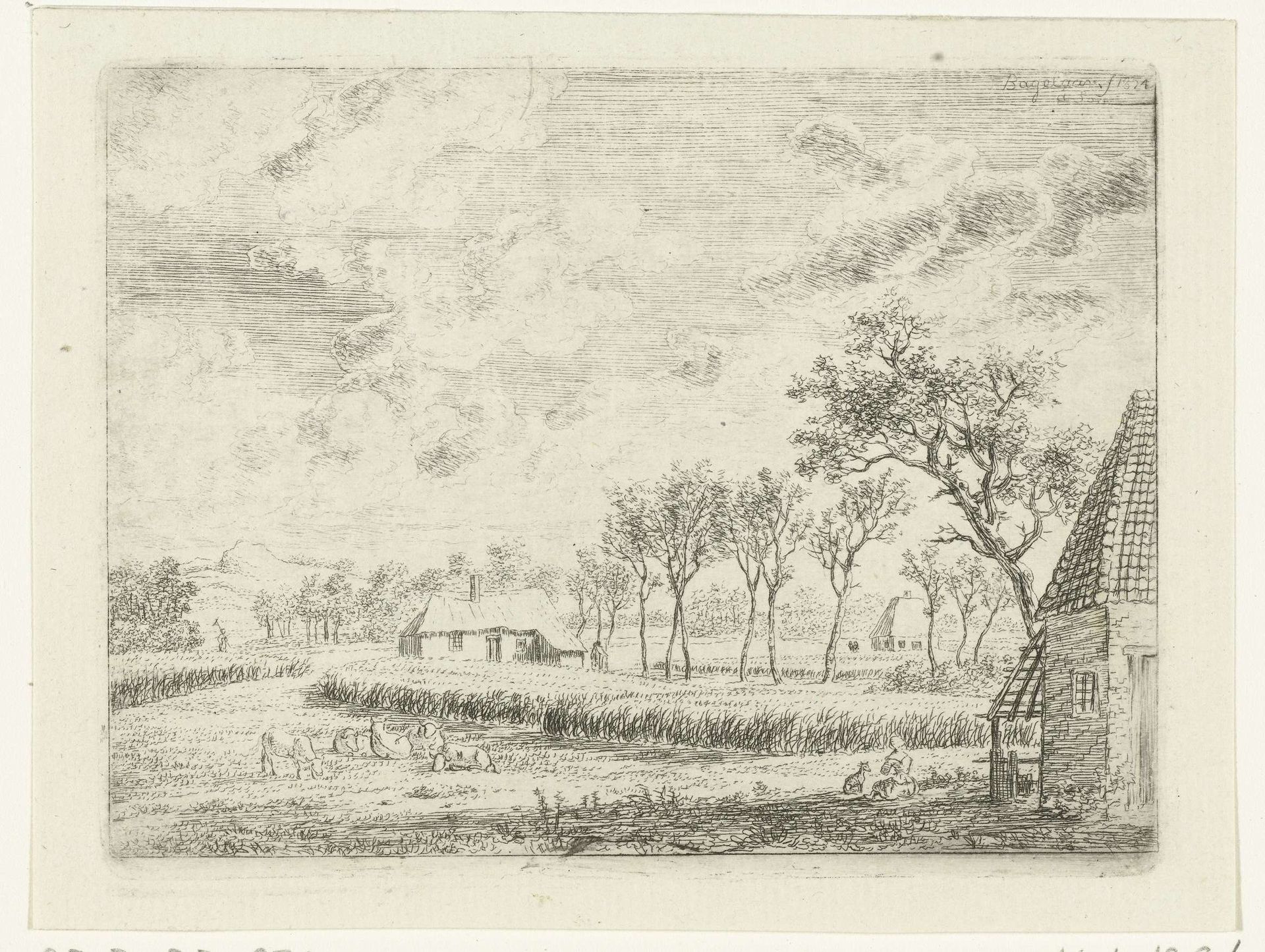 Landschap met korenfeld en weiland met schapen by Ernst Willem Jan Bagelaar