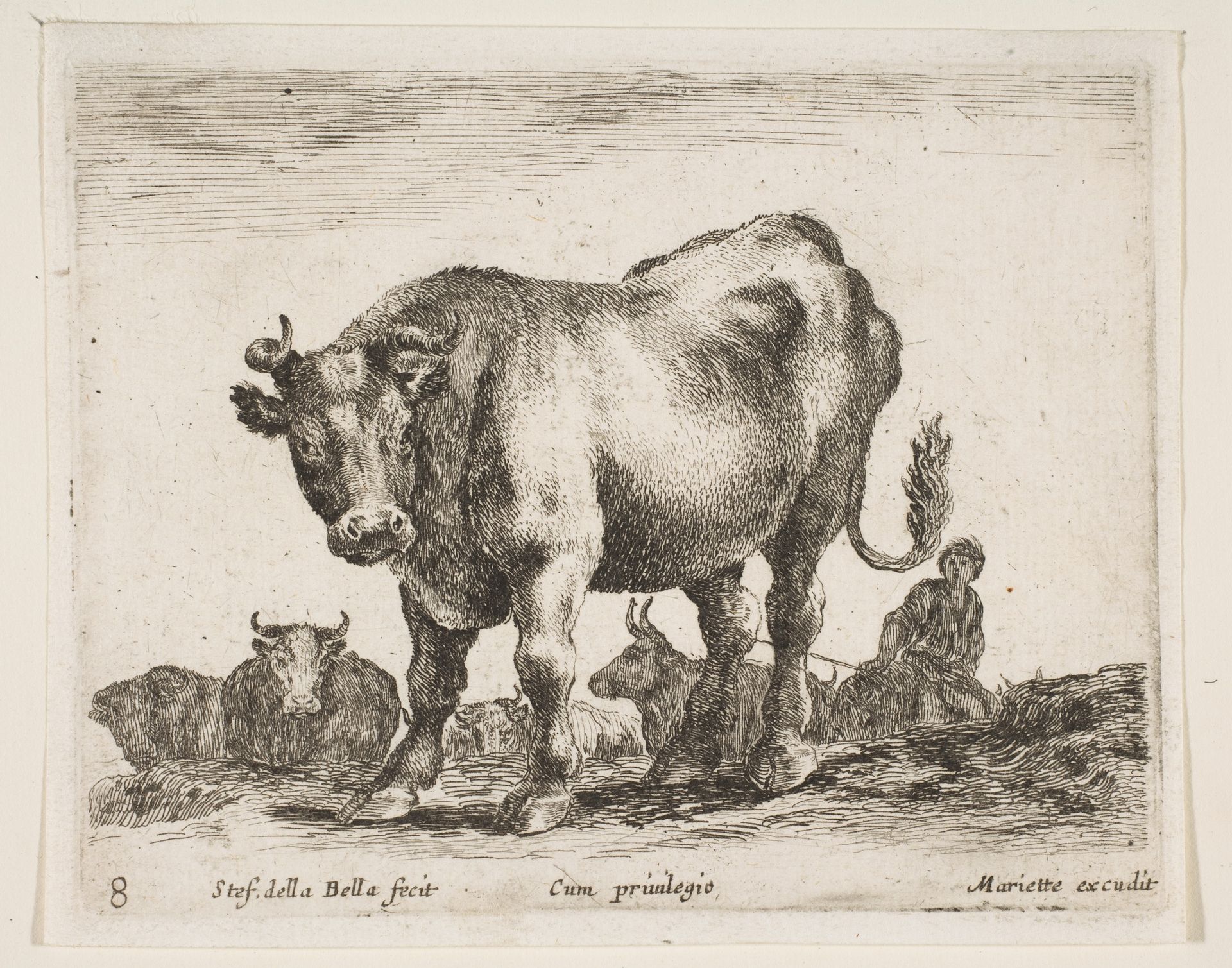 Plate 8: cow, from 'Various animals' (Diversi animali) by Stefano della Bella
