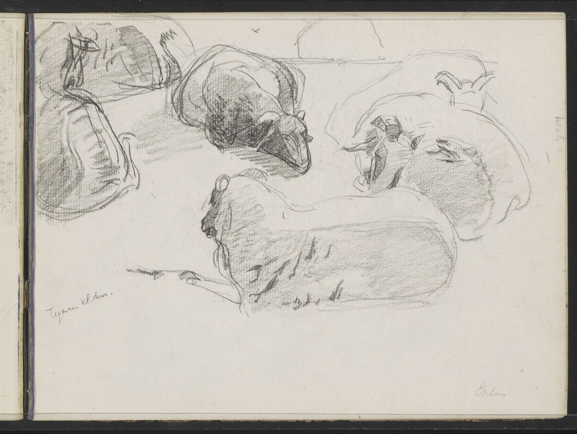 Studieblad met liggende schapen te Exloo by Ferdinand Oldewelt