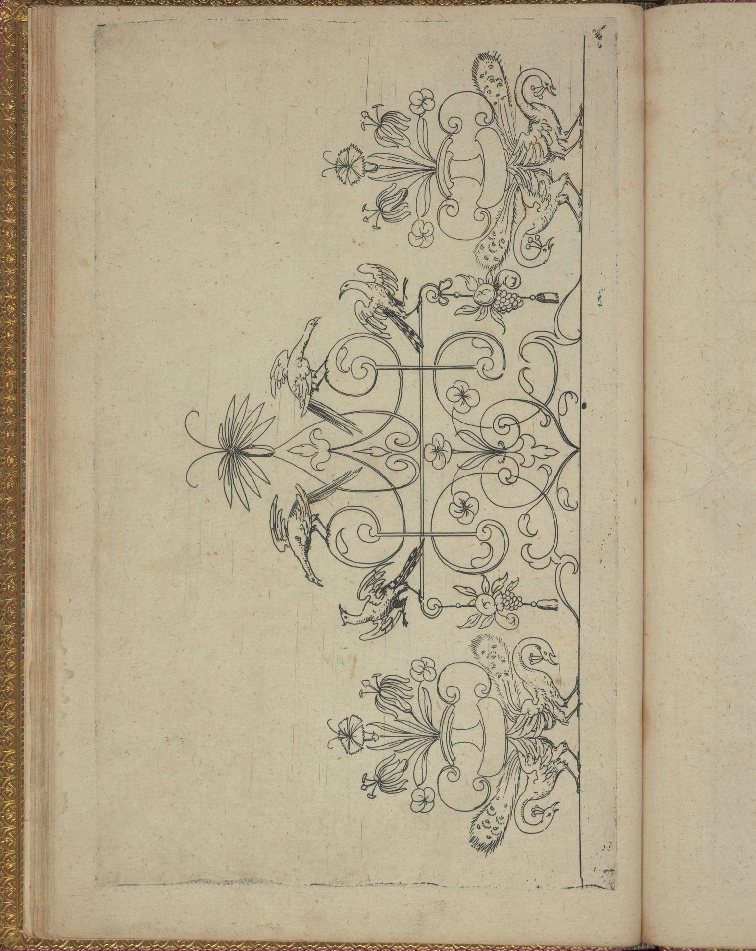 New Modelbüch (Page 22v) by Andreas Bretschneider
