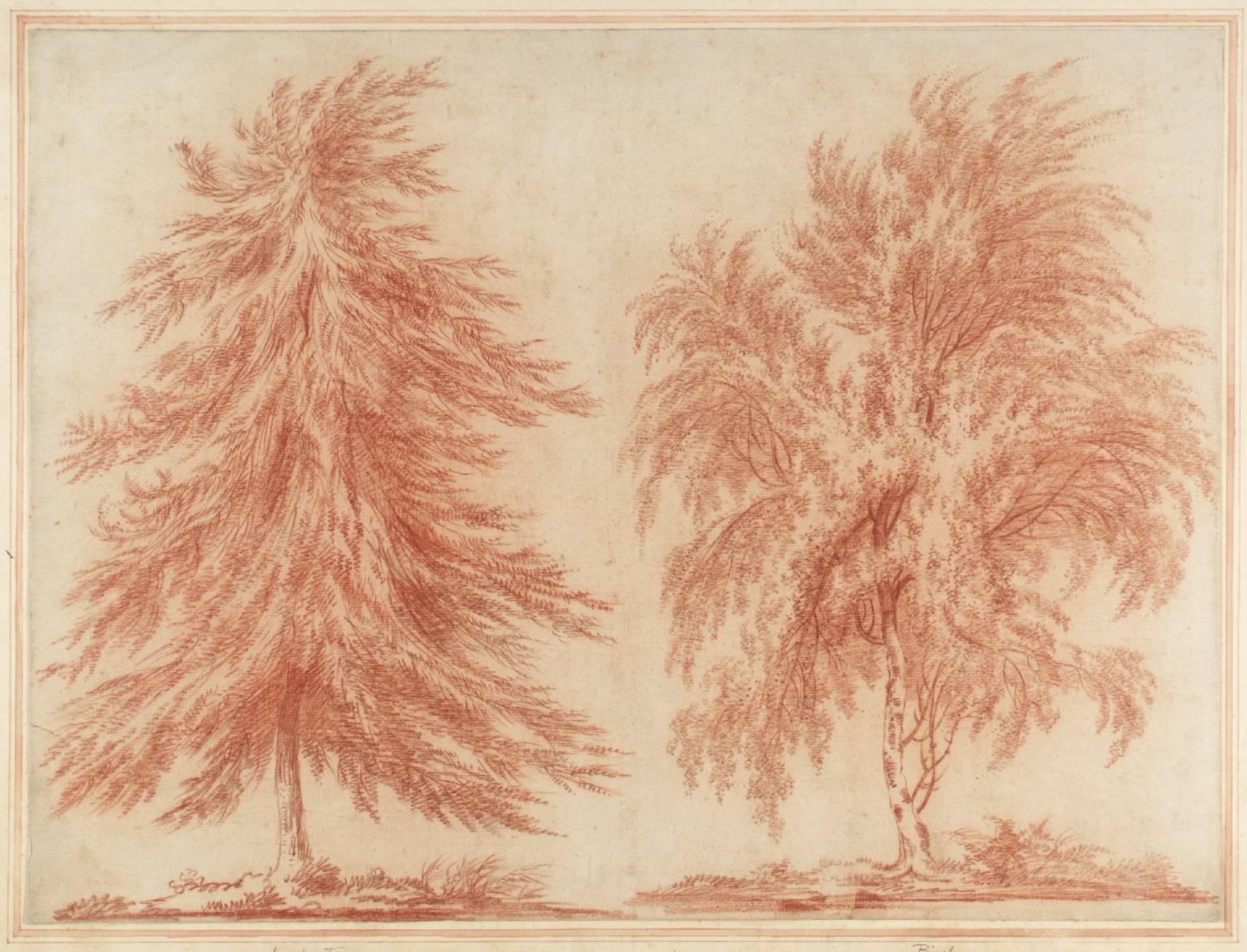 Studies of Two Trees, Larch Fir and Birch - John Laporte | Artera