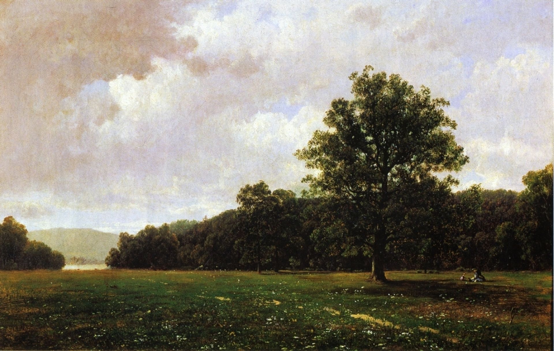 Ramapo Hills by David Johnson