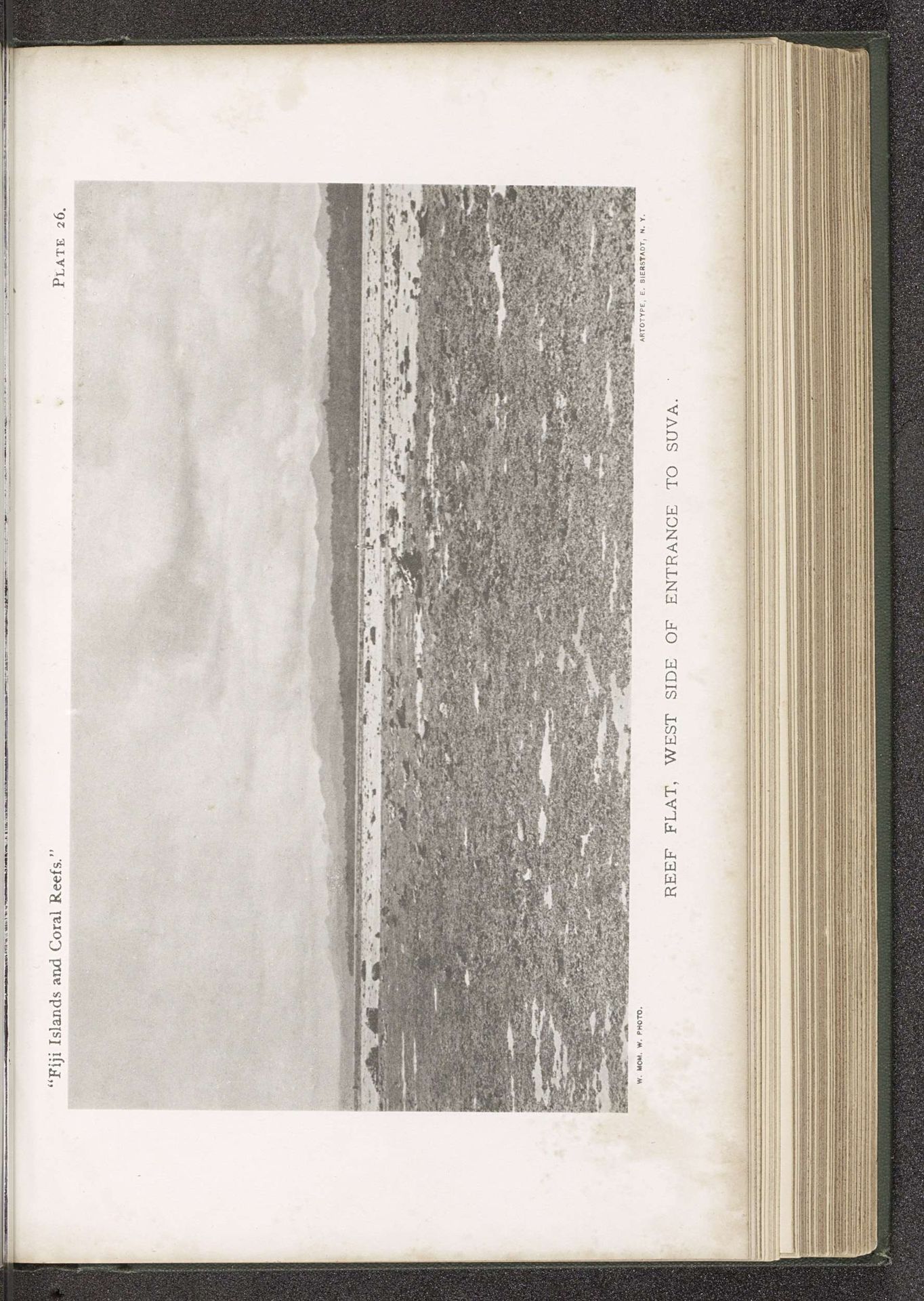 Gezicht op een koraalrif bij Suva by W. McM. Woodworth