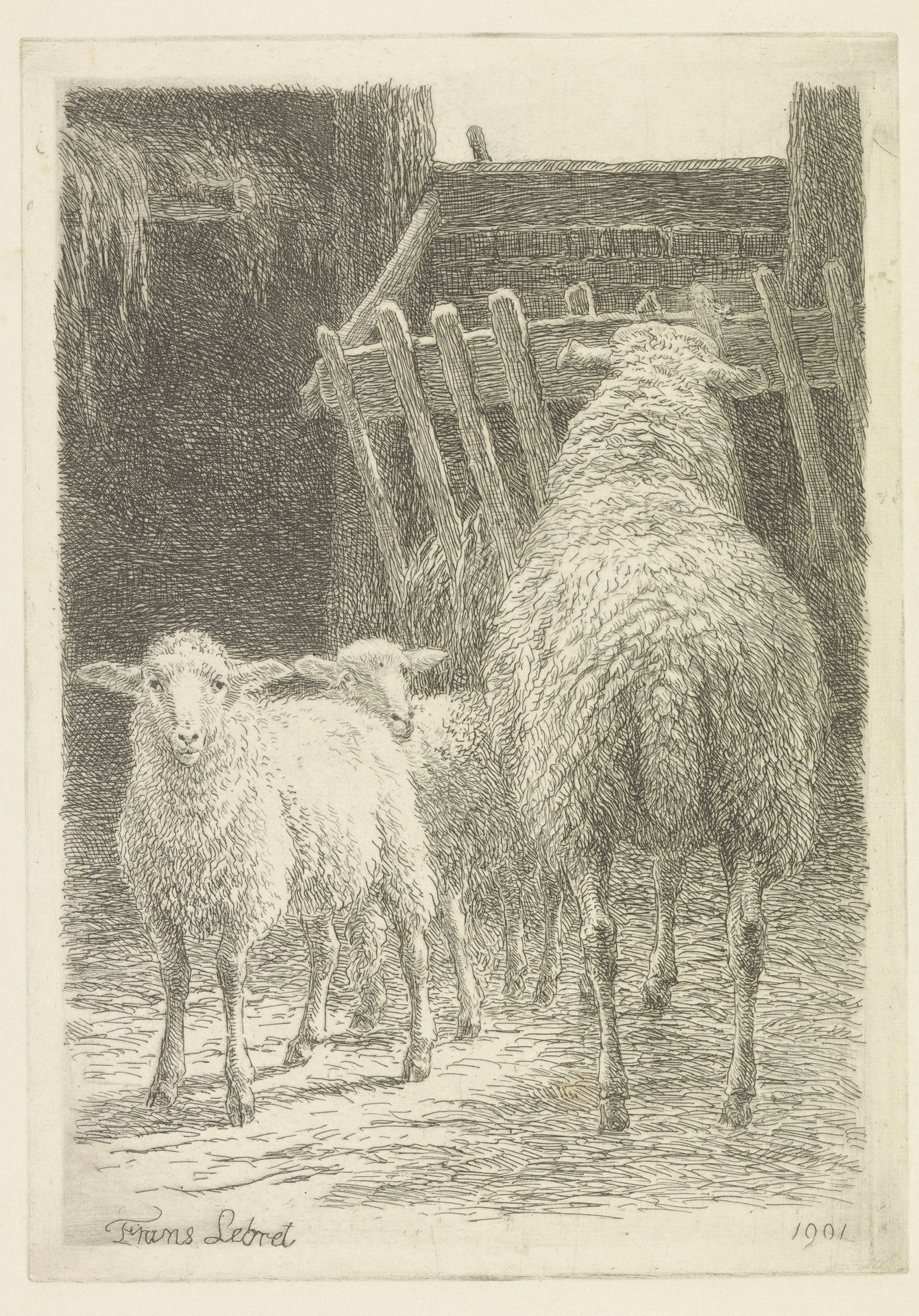 Schaap en twee lammeren in een stal by Frans Lebret