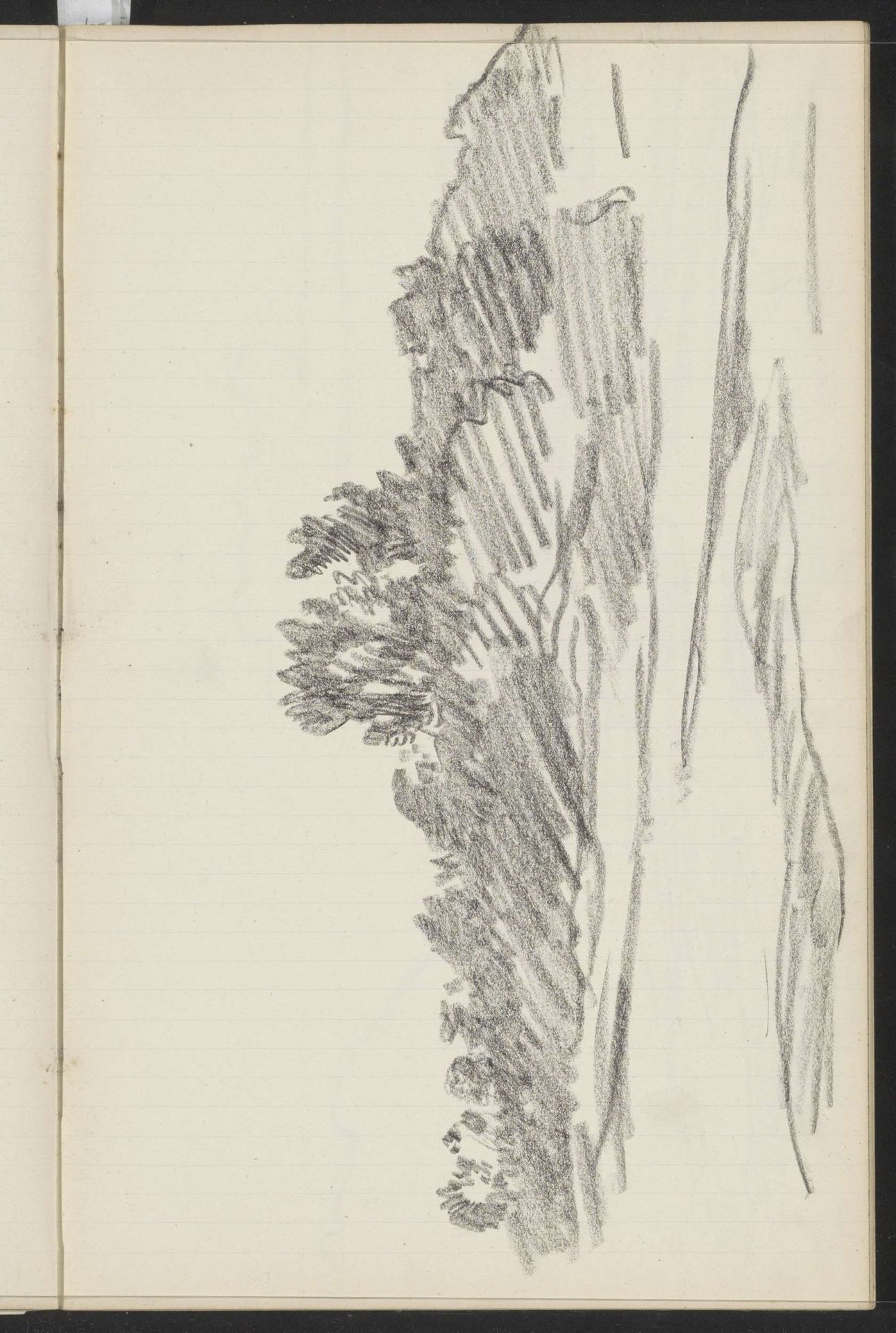 Landschap met bomen by Willem Bastiaan Tholen