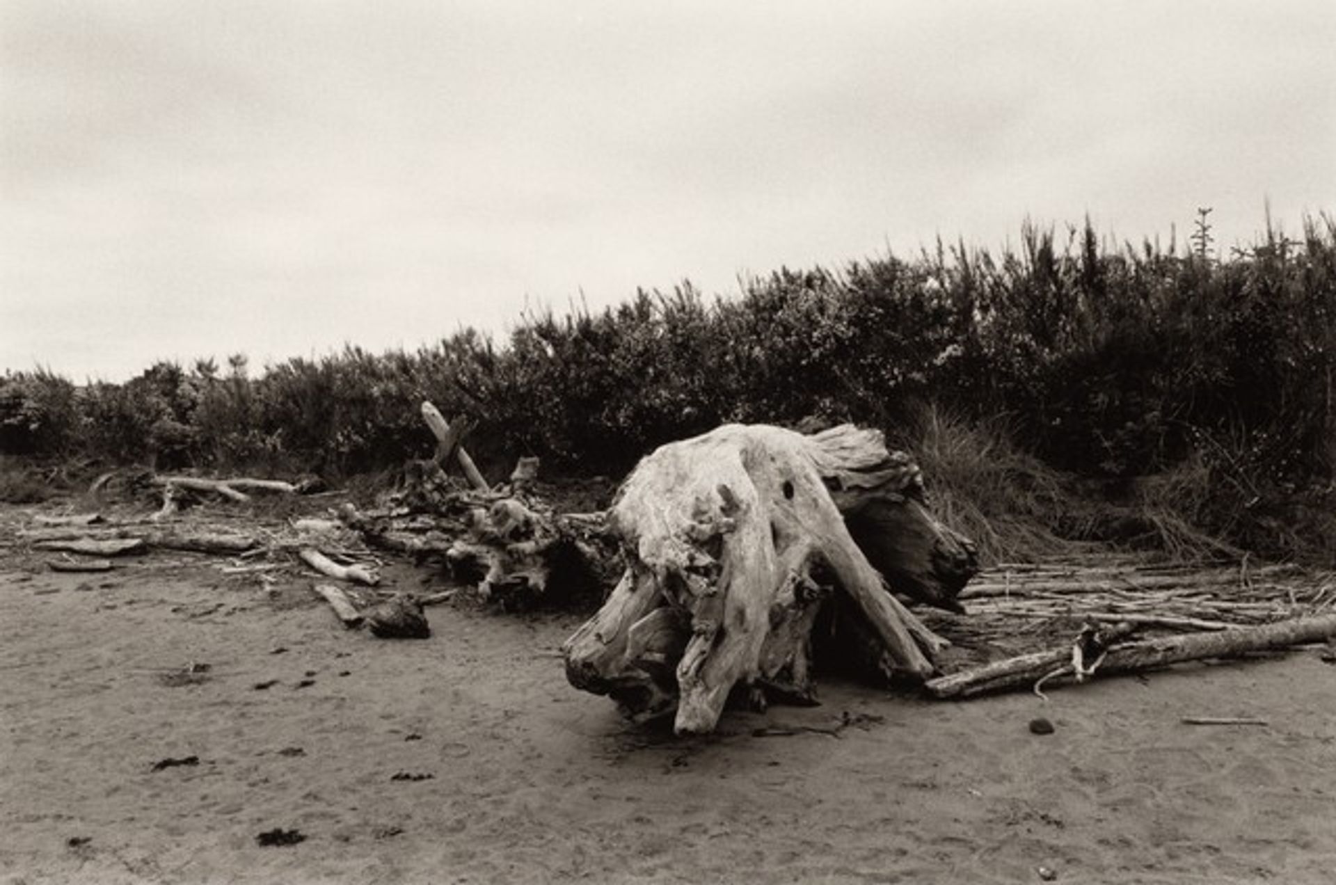 The River’s Edge by Robert Adams