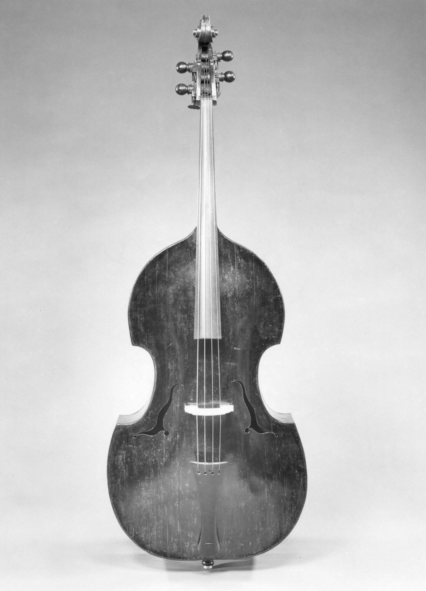 Double Bass by Johann Ulrich Eberle
