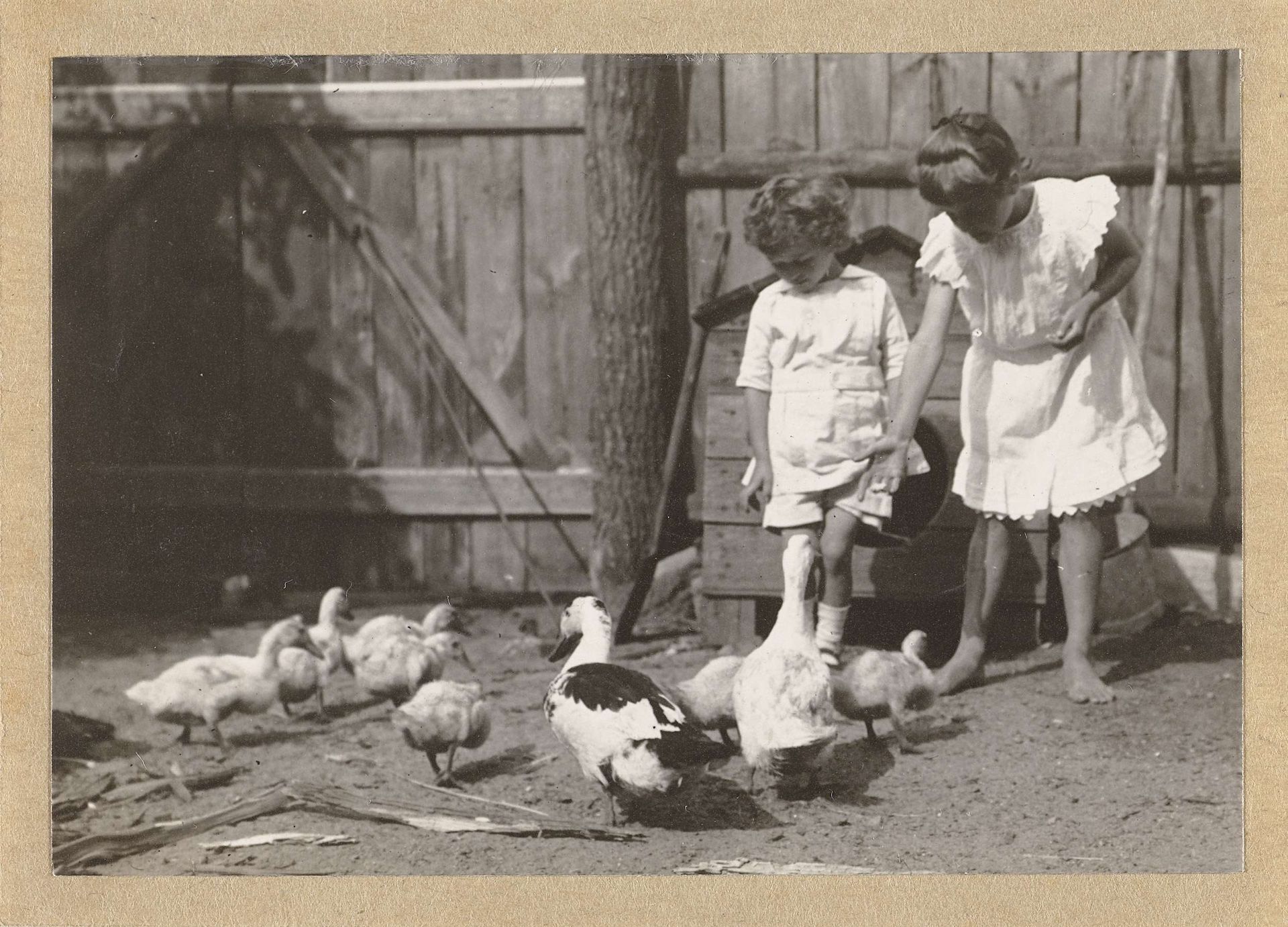 Marba en Eckart Titzenthaler, kinderen van de fotograaf, op een erf met kippen en eenden by Waldemar Titzenthaler