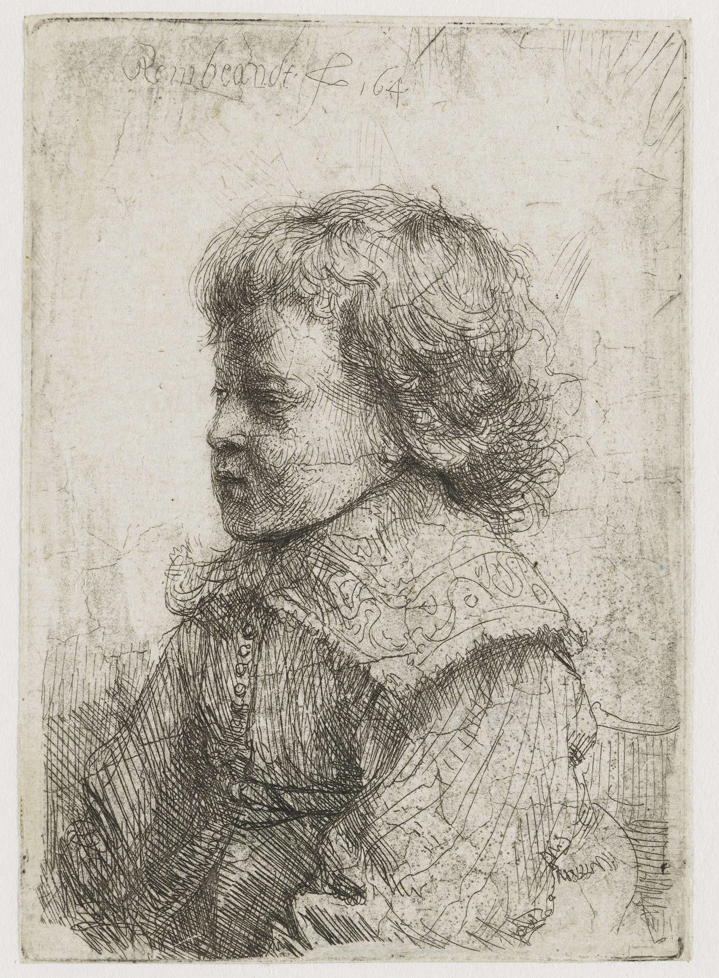 Portrait of a Boy by Rembrandt van Rijn