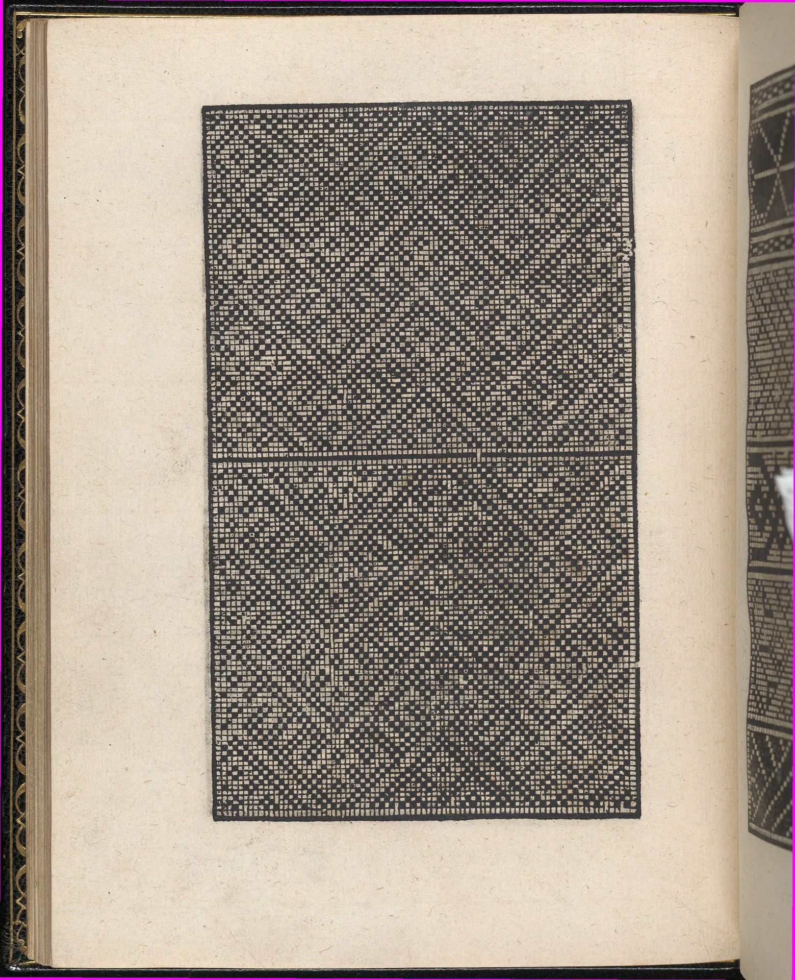 Page from Ein new kunstlich Modelbuch...(Page 33v) by Peter Quentel