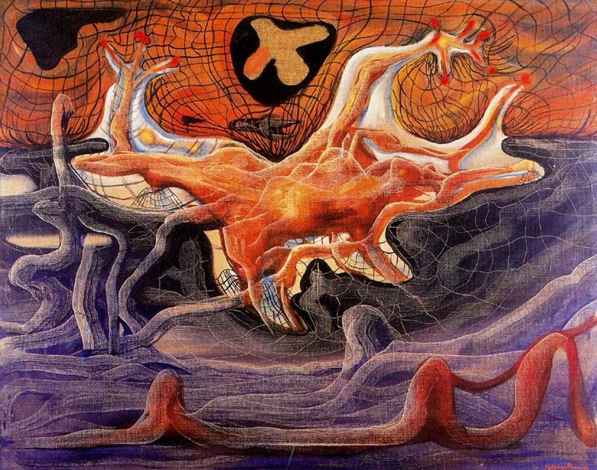 Alambradas by Esteban Frances