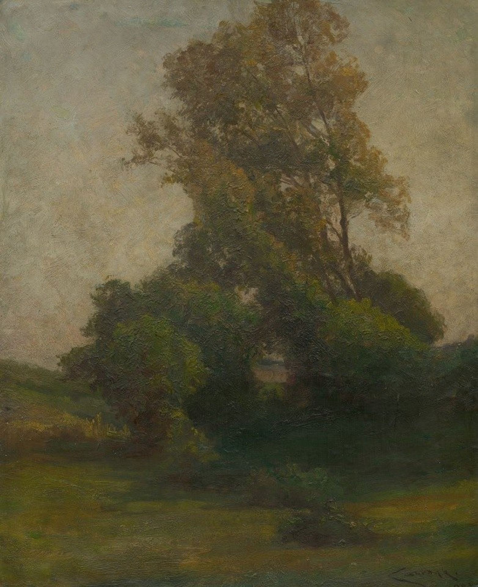 Tree in the countryside by Ľudovít Čordák