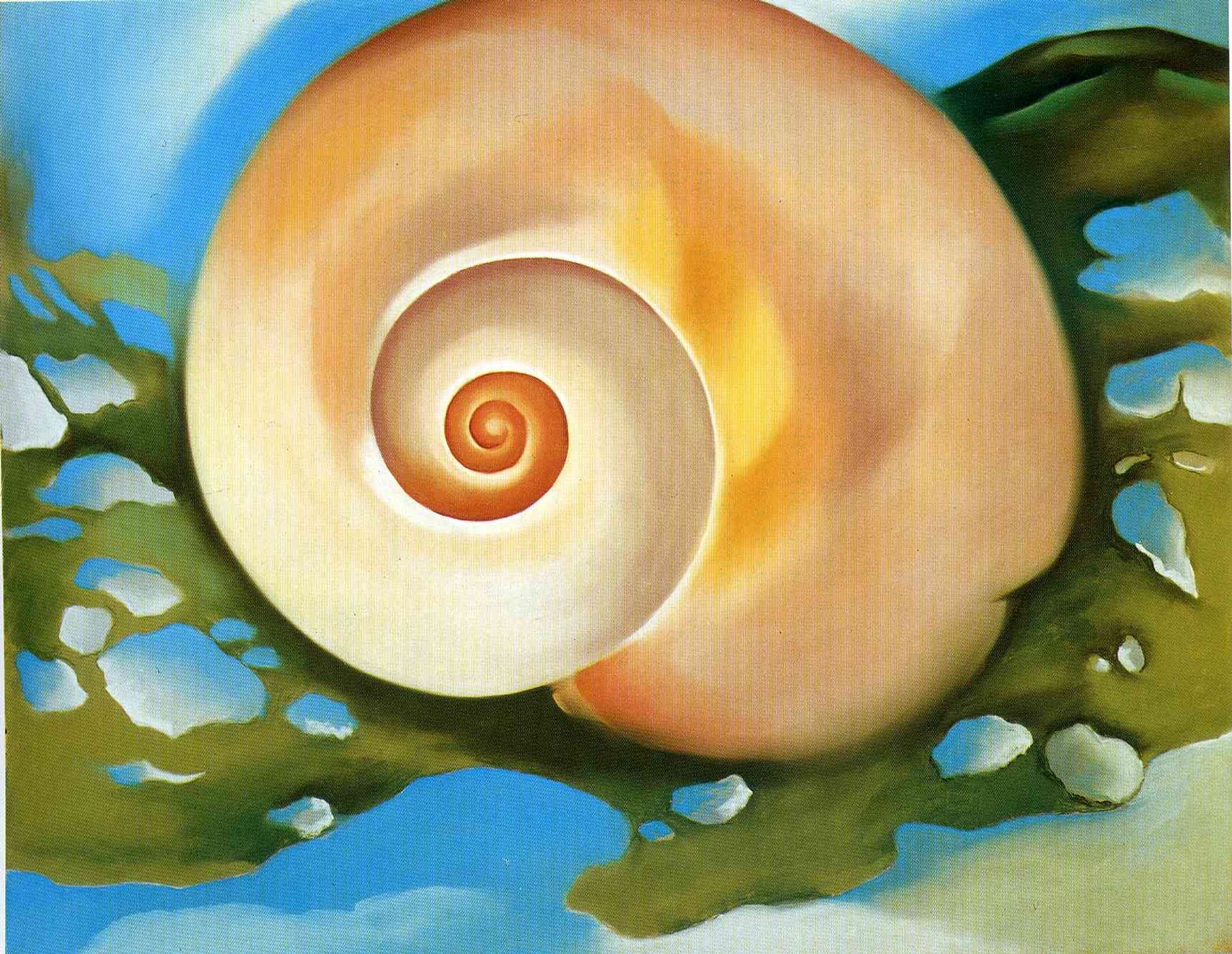Pink Shell with Seaweed by Georgia O'Keeffe