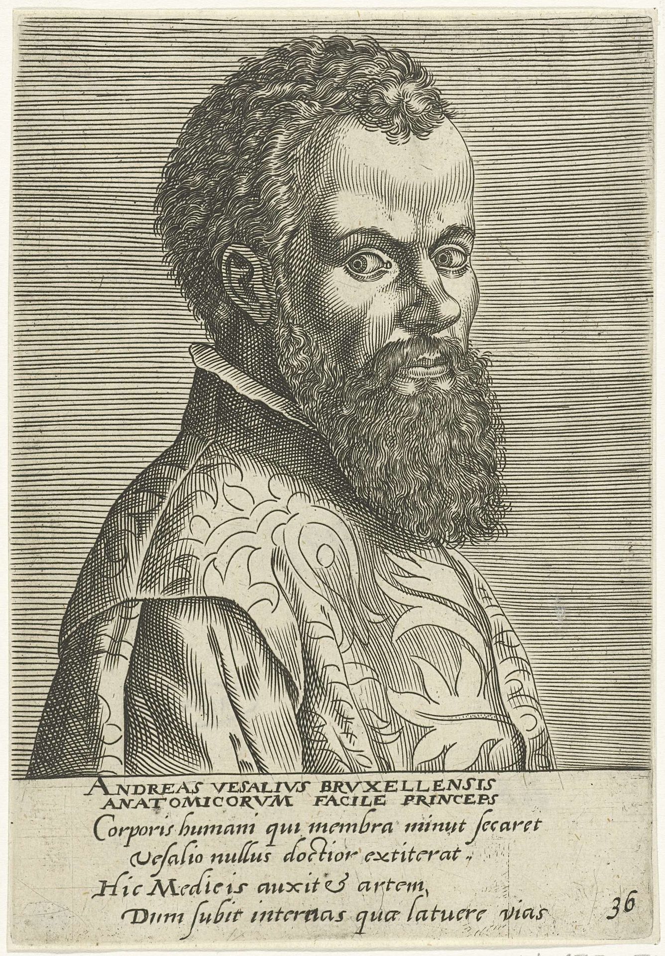 Portret van Andreas Vesalius by Anonymous