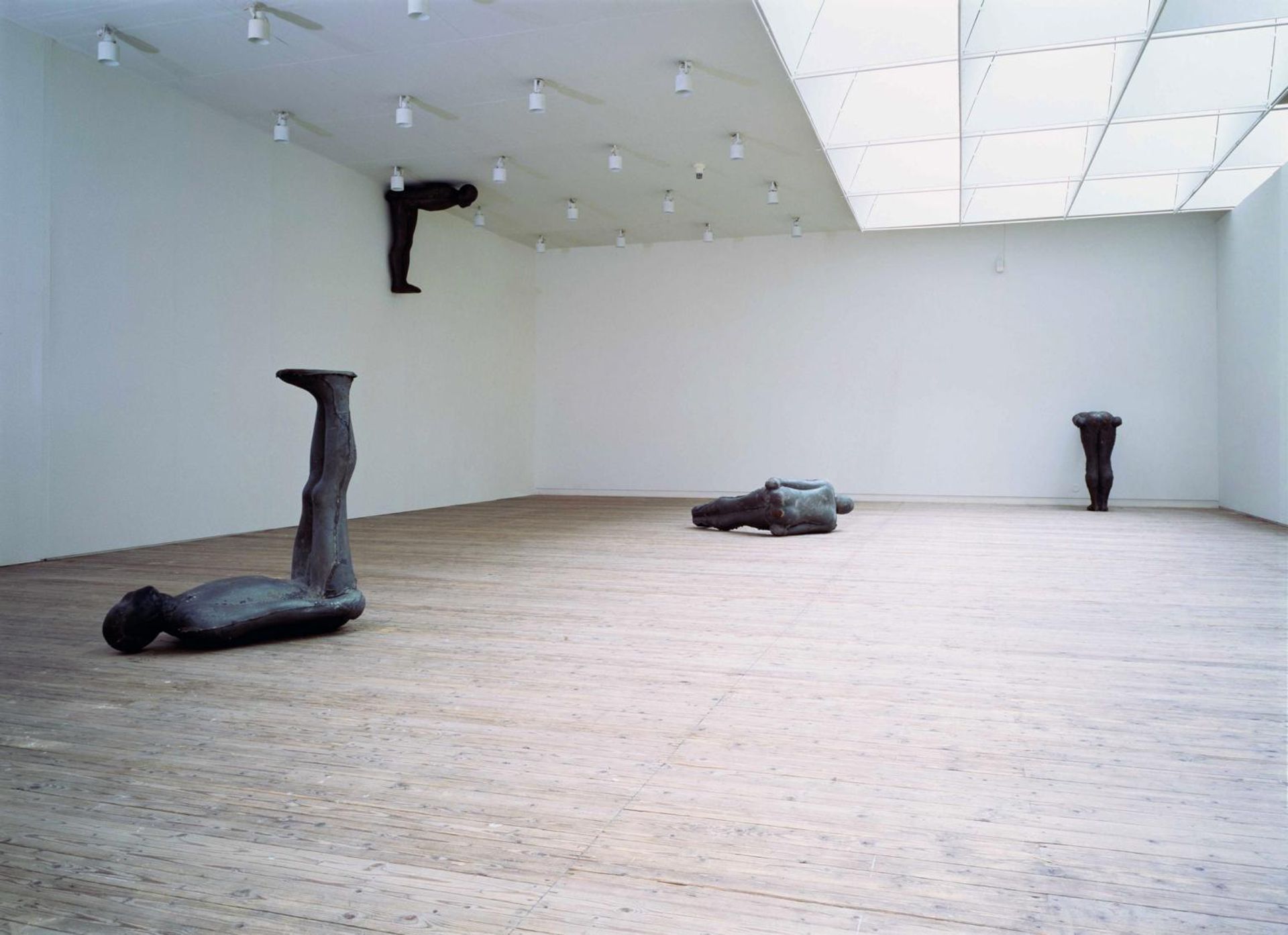 Testing a World View by Antony Gormley