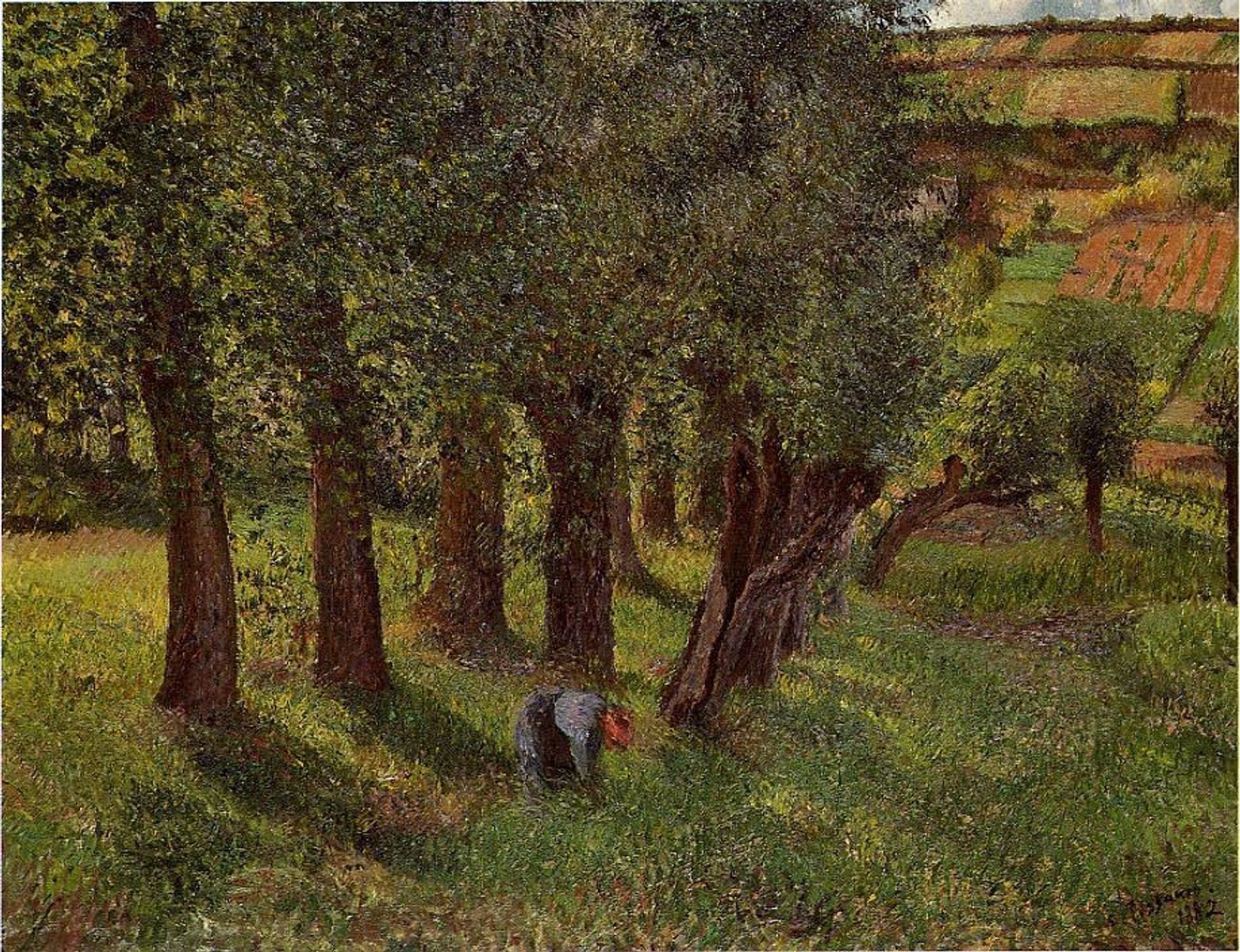 The cabbage of Pontoise by Camille Pissarro