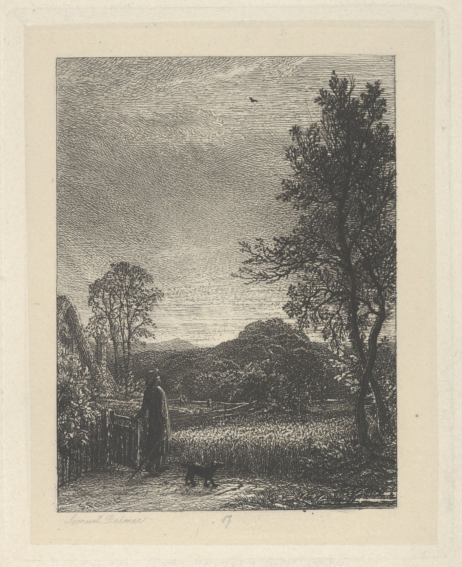 The Skylark by Samuel Palmer
