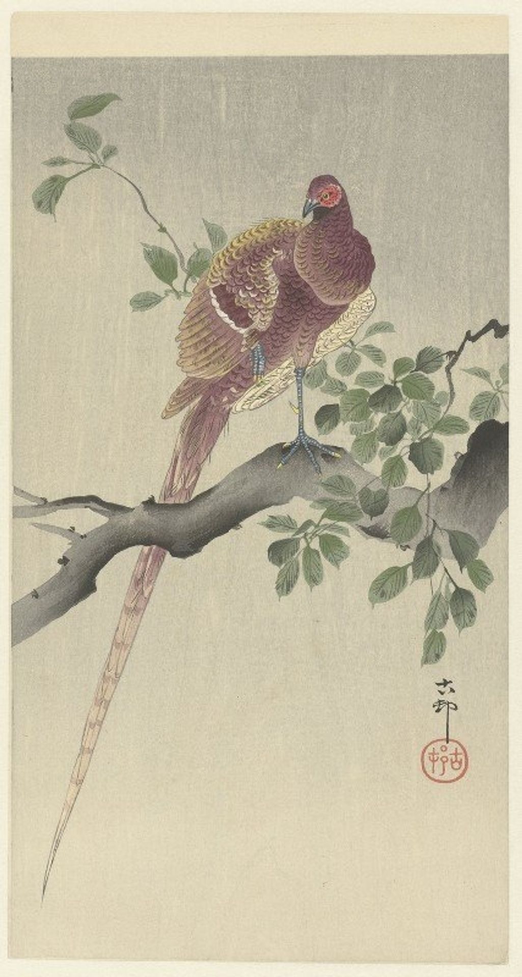 Copper pheasant by Ohara Koson