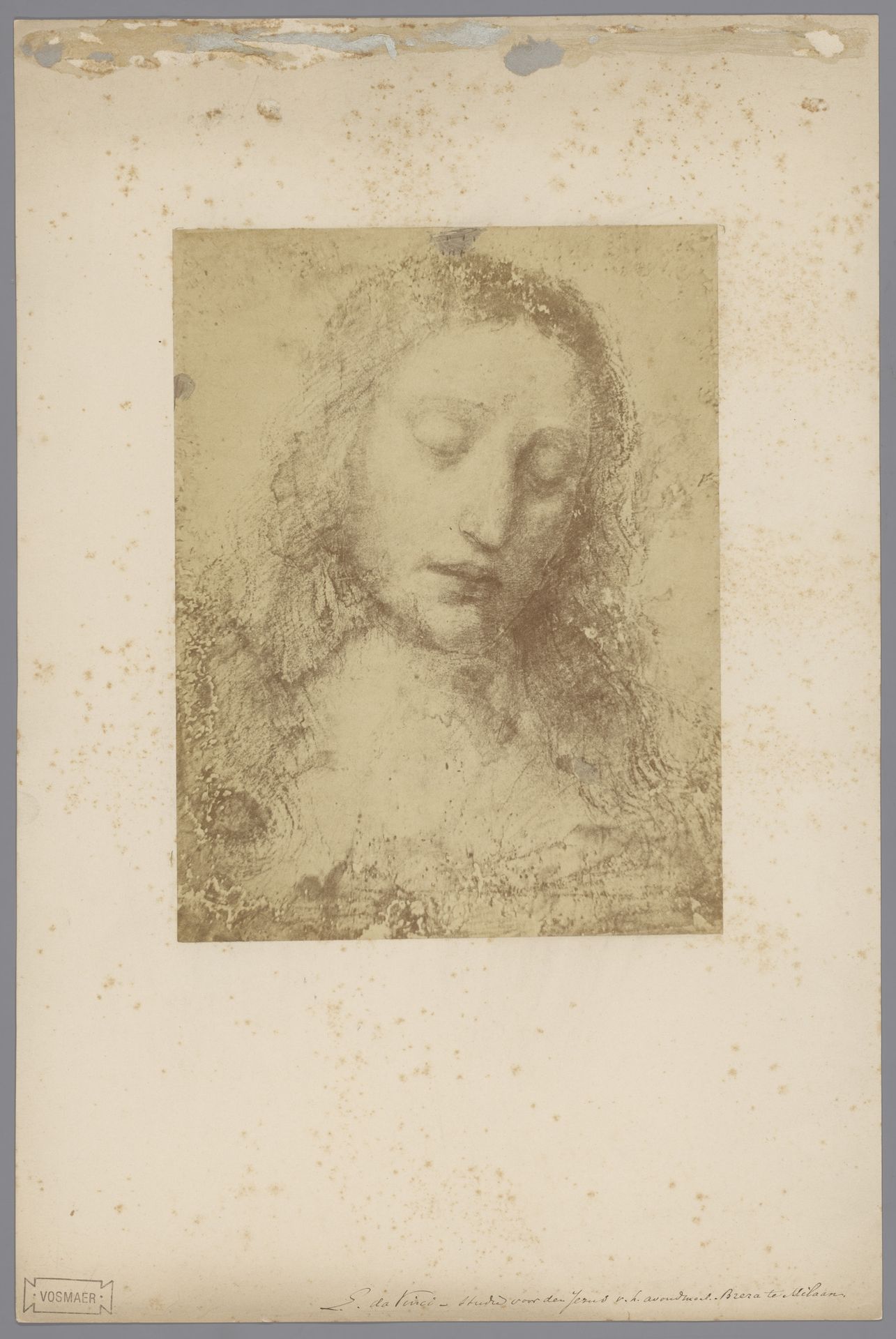 Fotoreproductie van de tekening Hoofd van Jezus (voorstudie voor het fresco Het laatste Avondmaal) door Leonardo da Vinci by Pompeo Pozzi