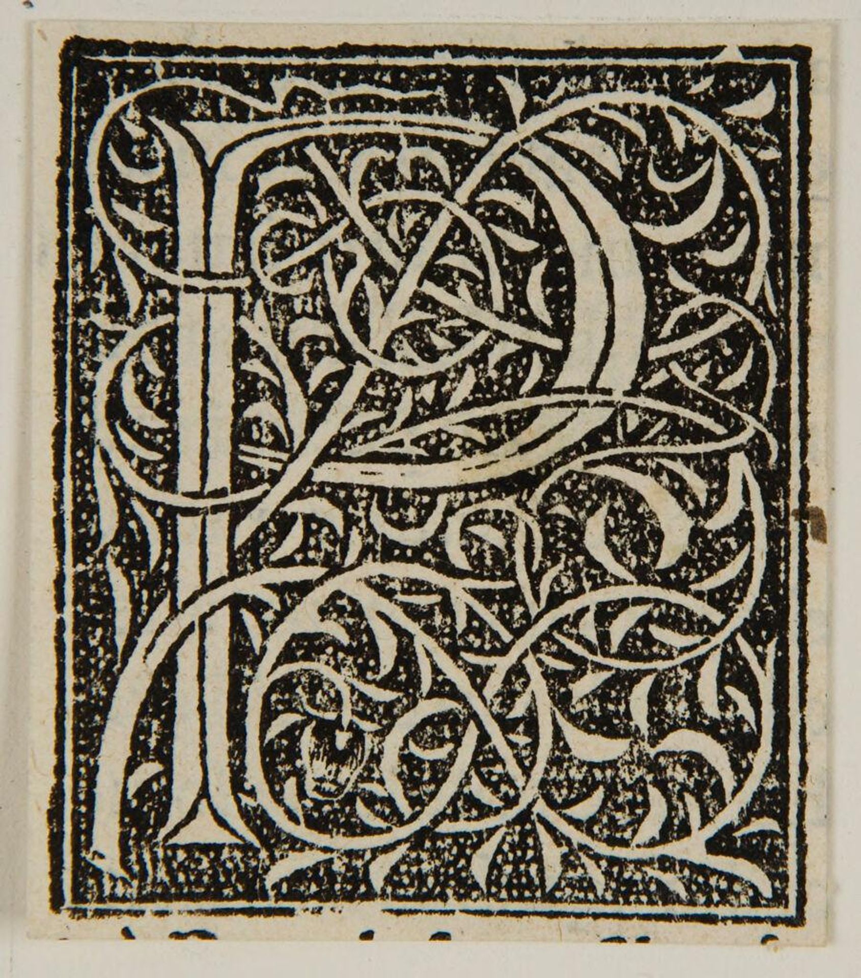 Letter P by Anonymous
