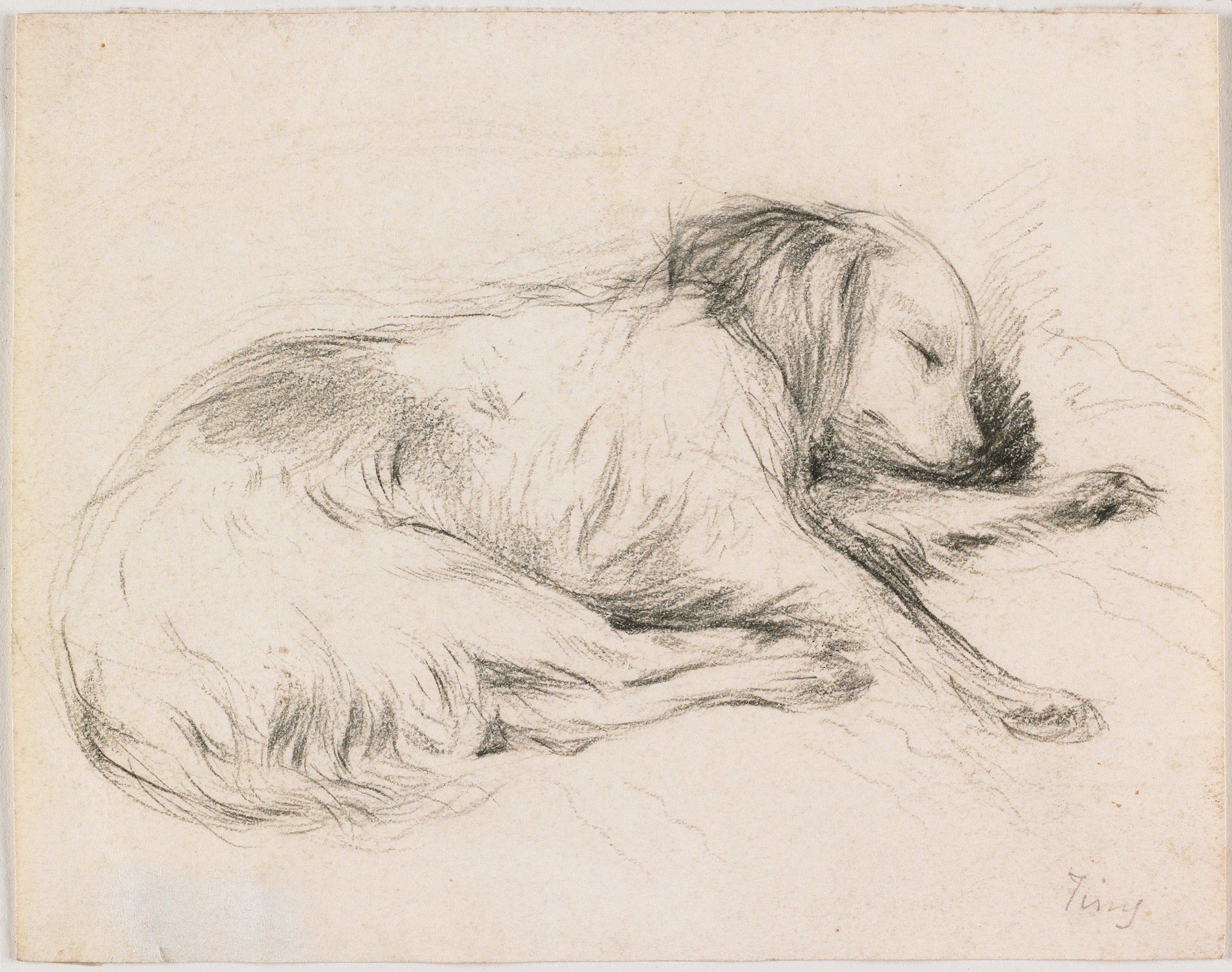 Sleeping Dog by Anonymous