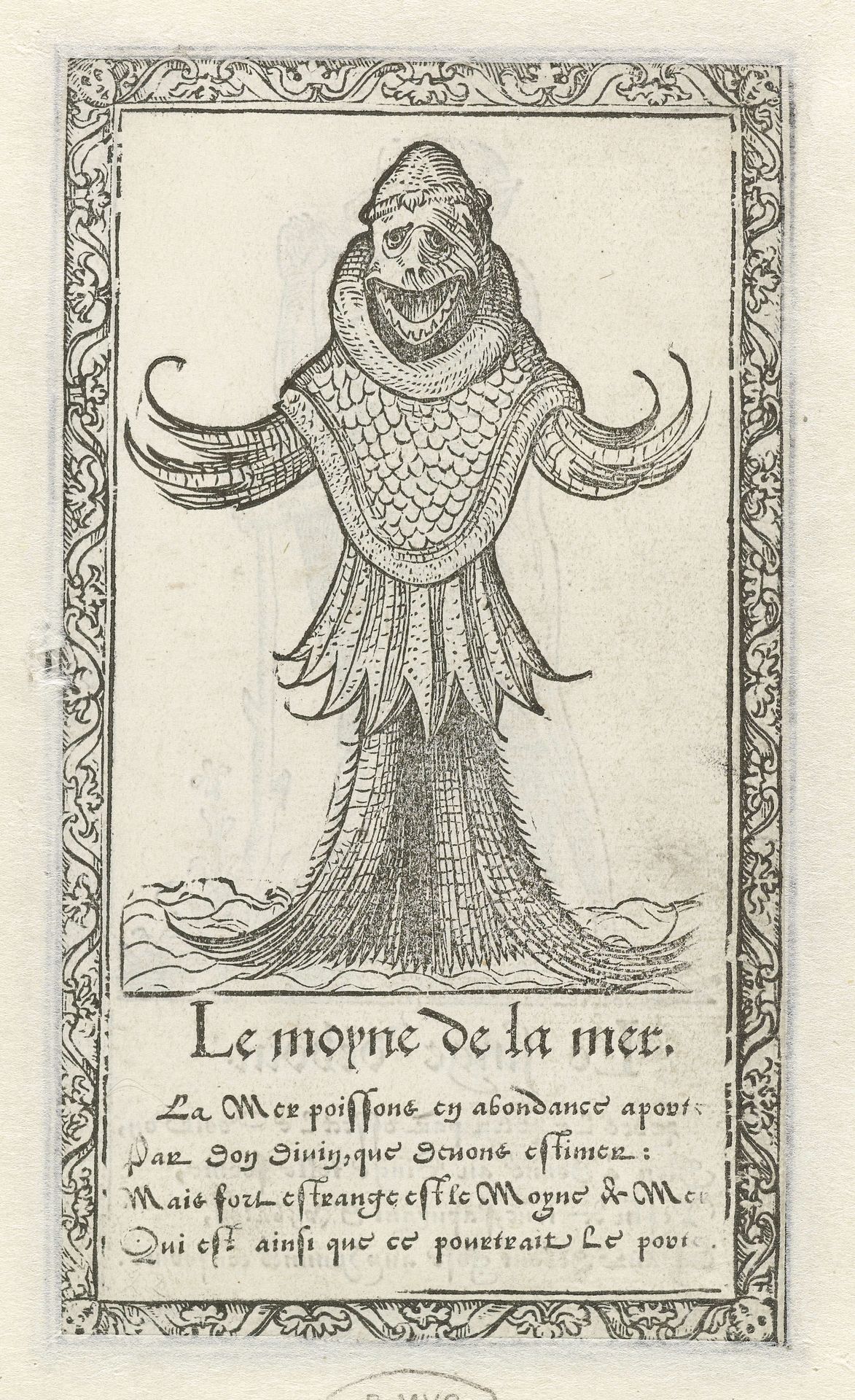 Zeemonnik by François Desprez