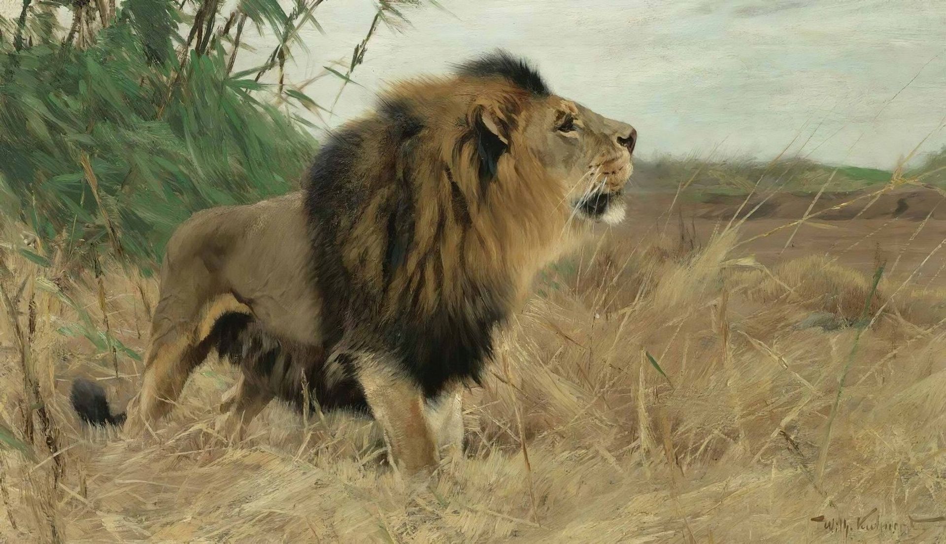 Beberlöwe by Wilhelm Kuhnert