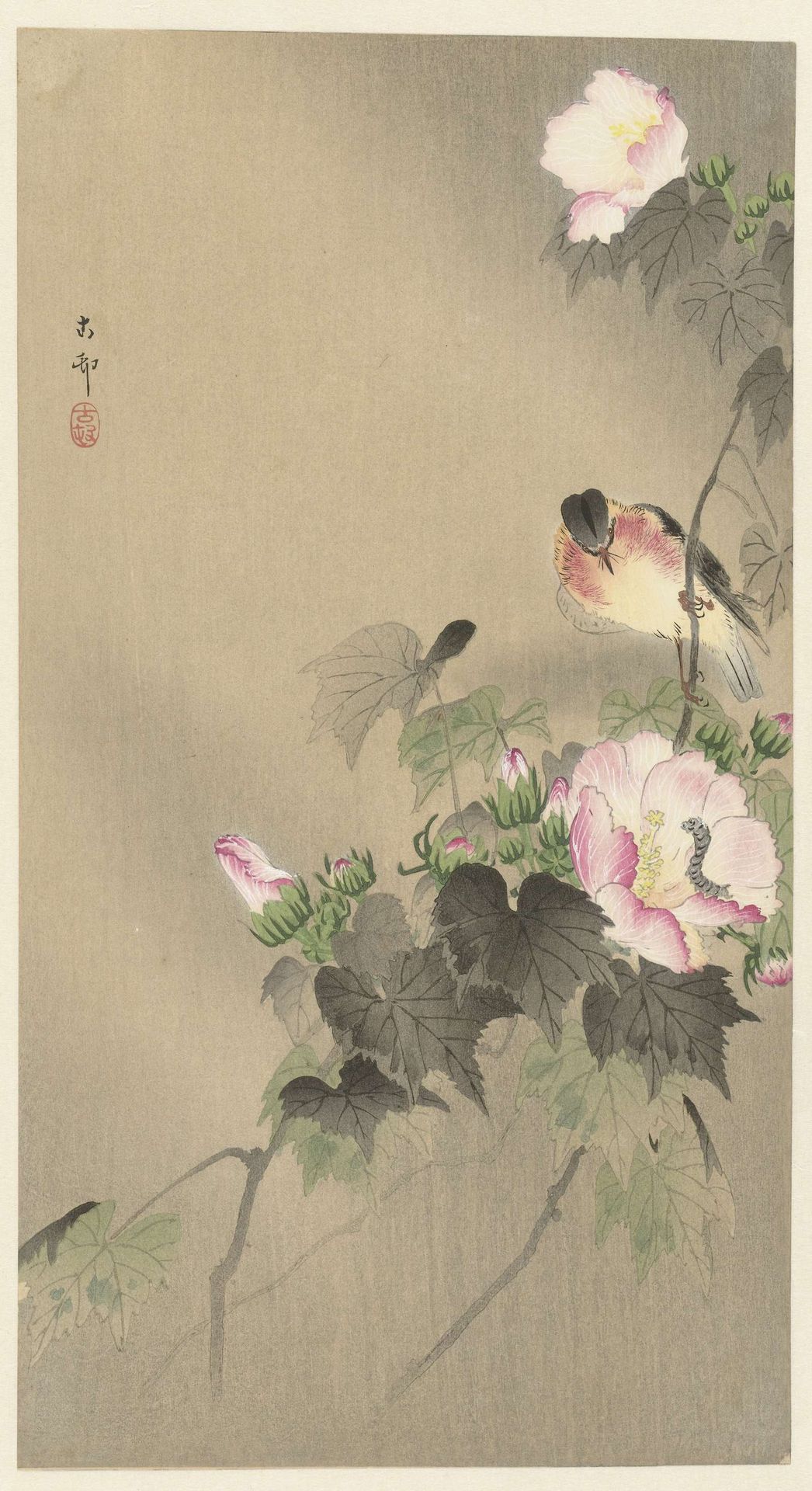 Vogel en rups by Ohara Koson