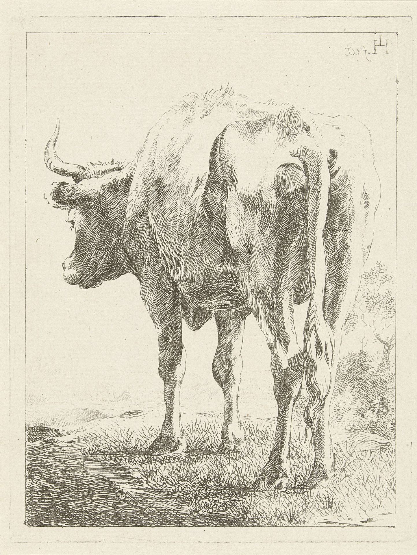 Koe in een landschap by Jabes Heenck