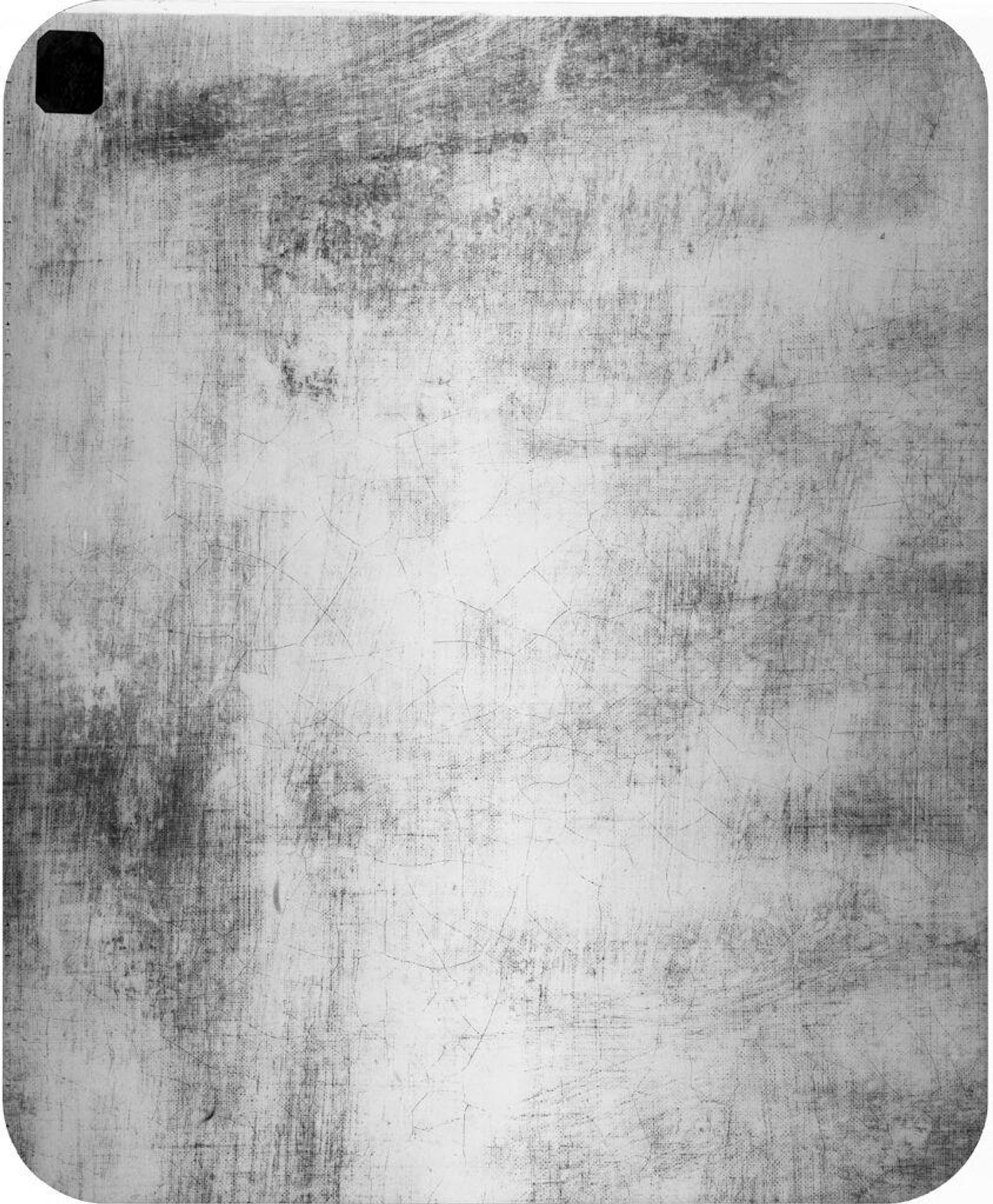 X-radiograph(s) of "Still Life" by Artist of original: Jan Weenix