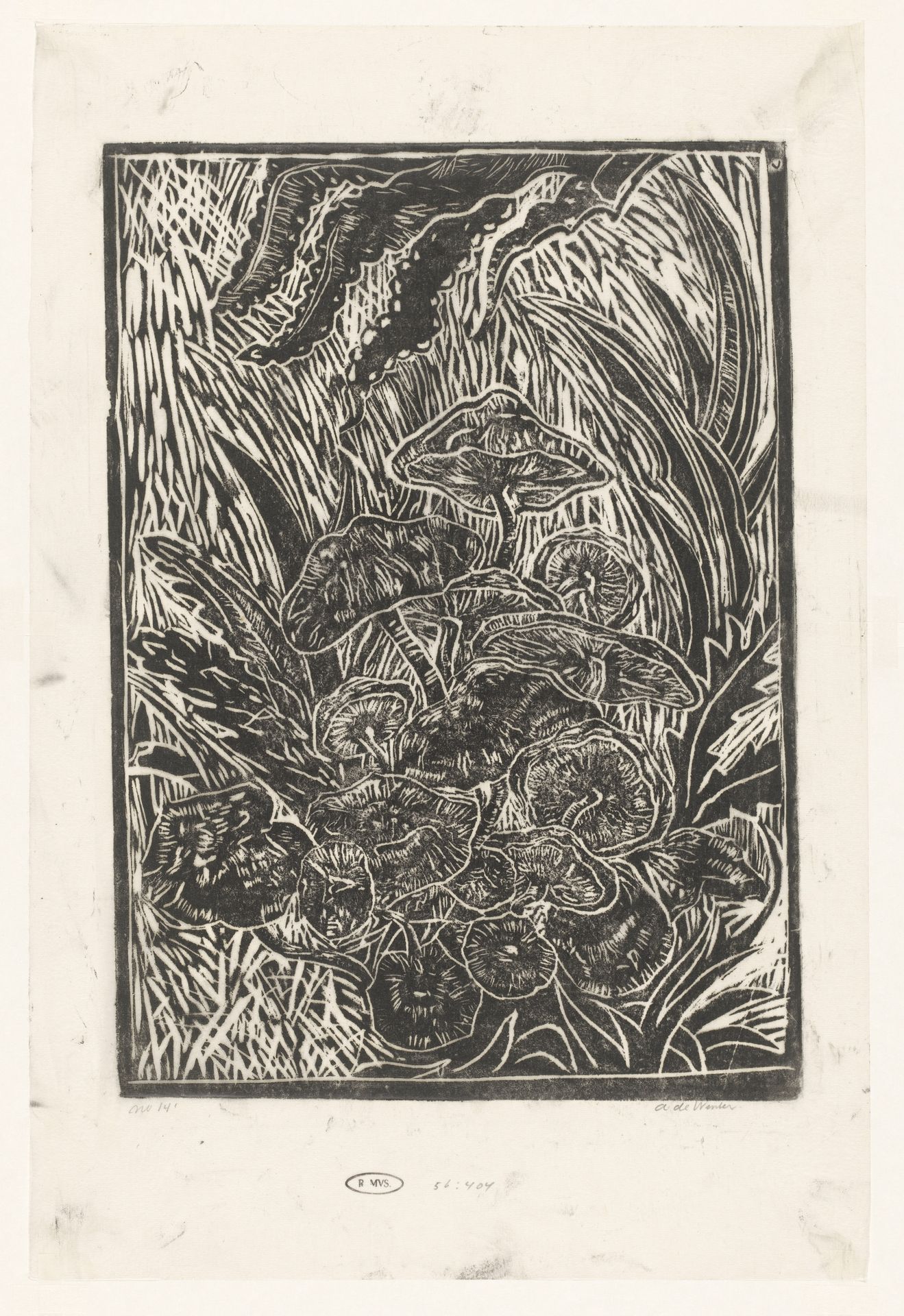 Paddenstoelen by Janus de Winter