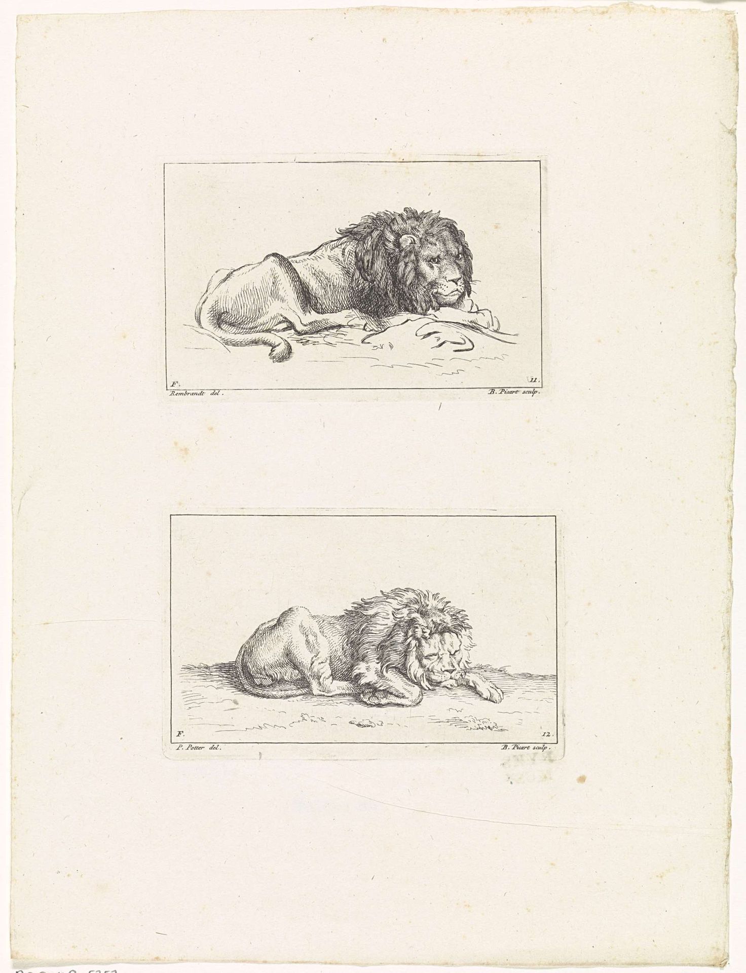 Twee leeuwen by Bernard Picart