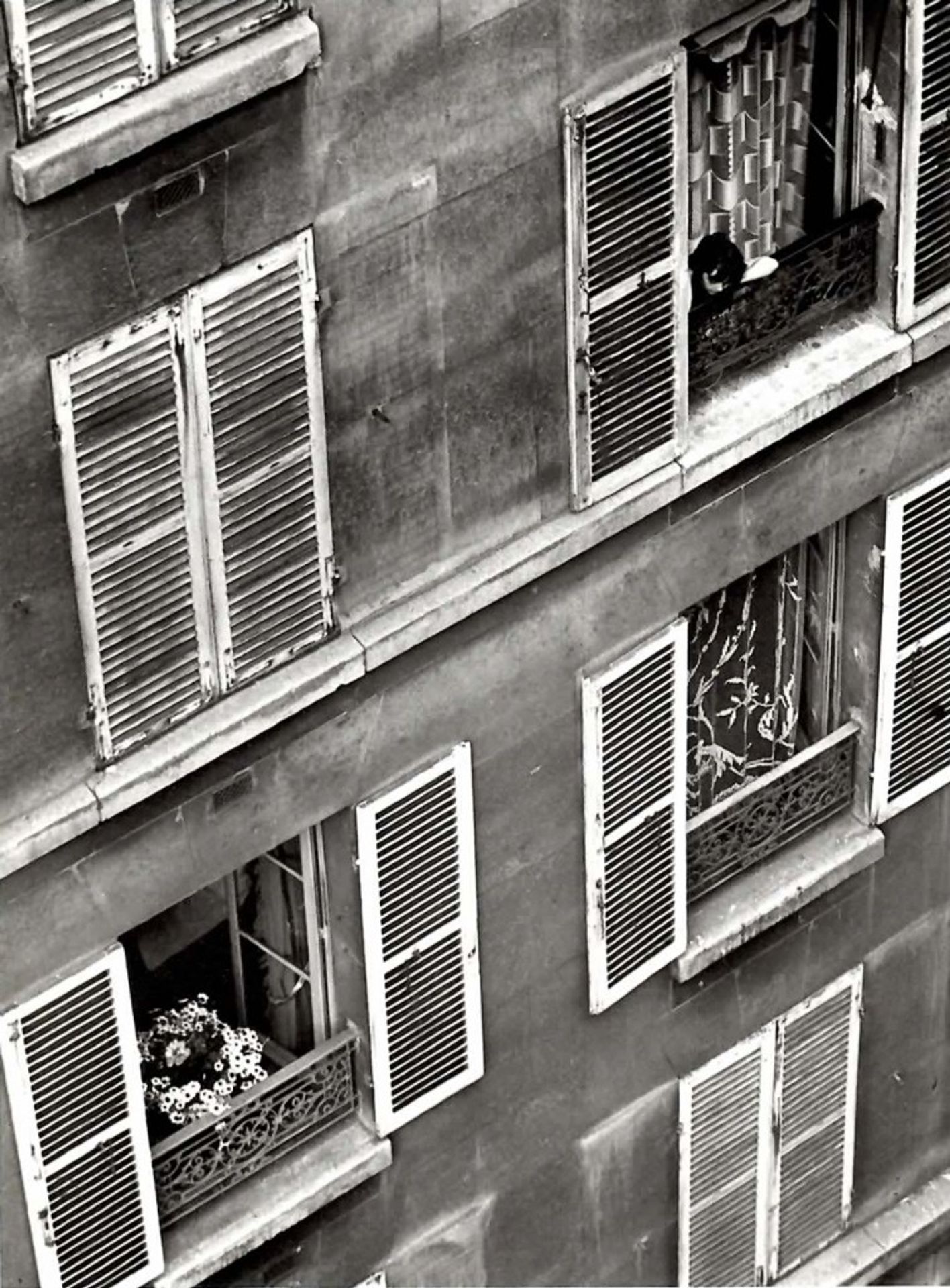 Paris by Andre Kertesz