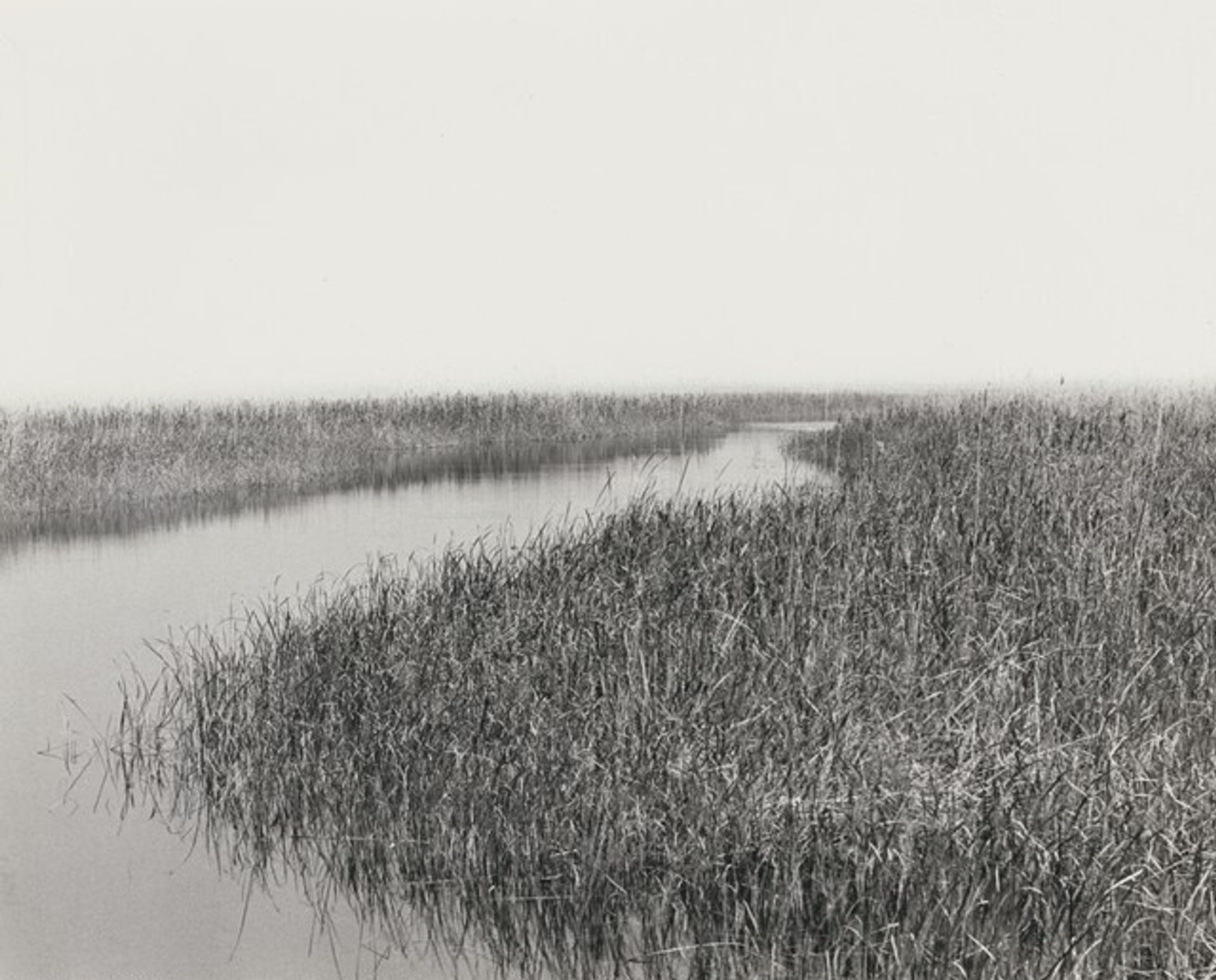 Untitled by Ursula Schulz-Dornburg