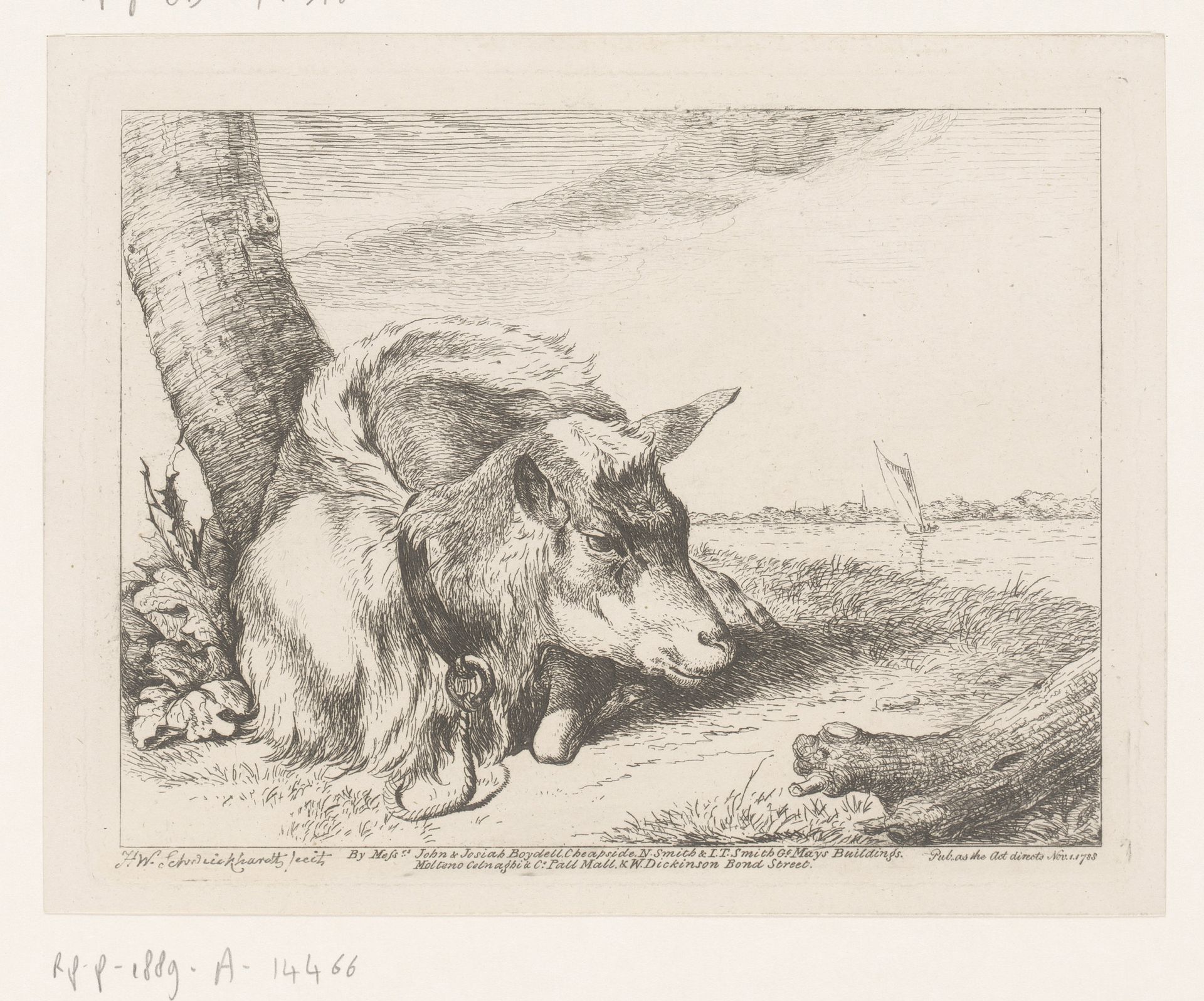 Liggende geit bij water by Hendrik Willem Schweickhardt