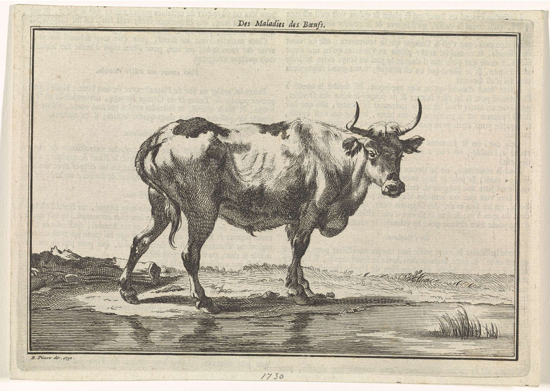 Landschap met koe by Bernard Picart