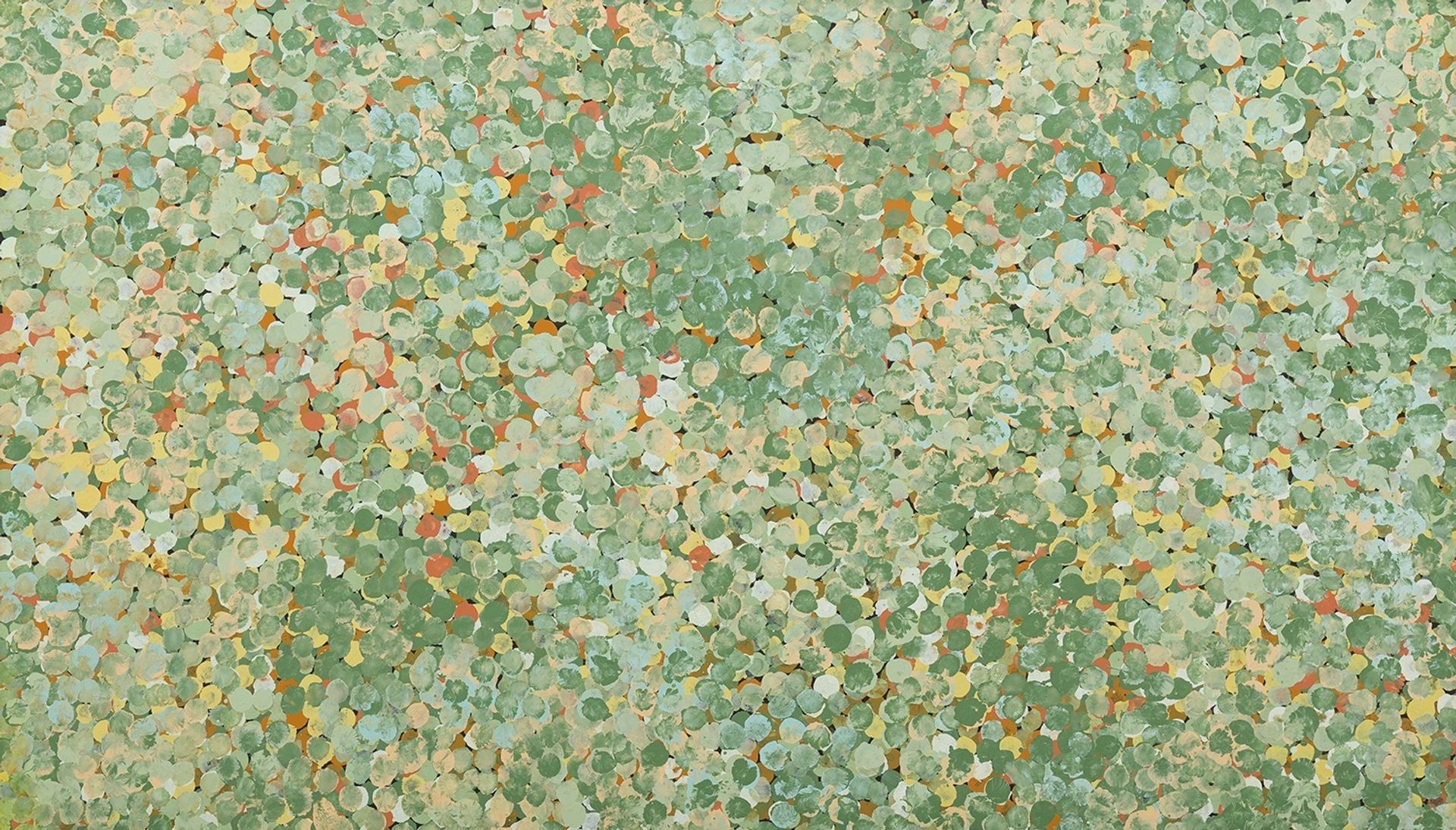 Desert After Wintertime by Emily Kame Kngwarreye