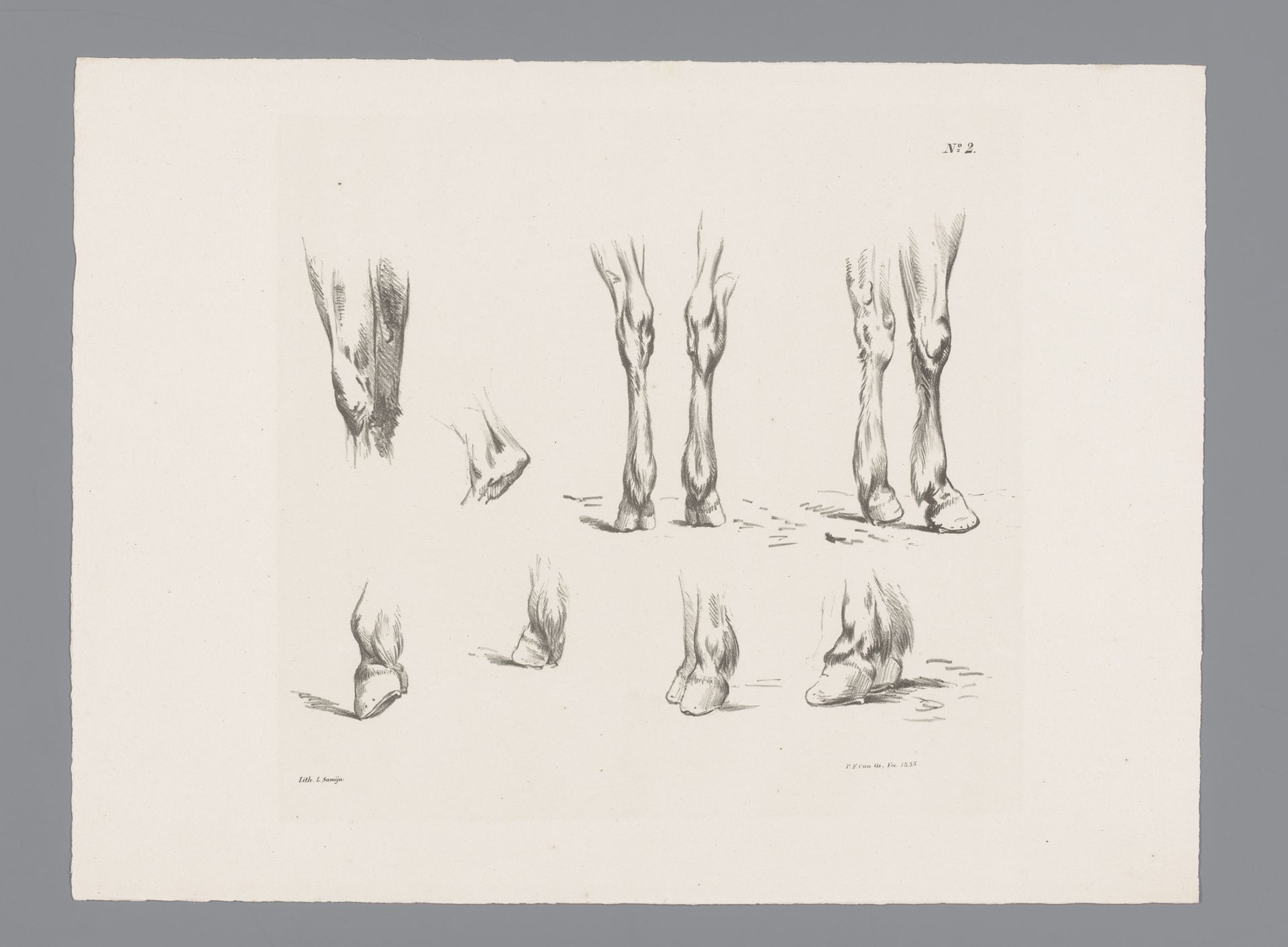 Acht studies van paardenbenen en -hoeven by Pieter Frederik van Os