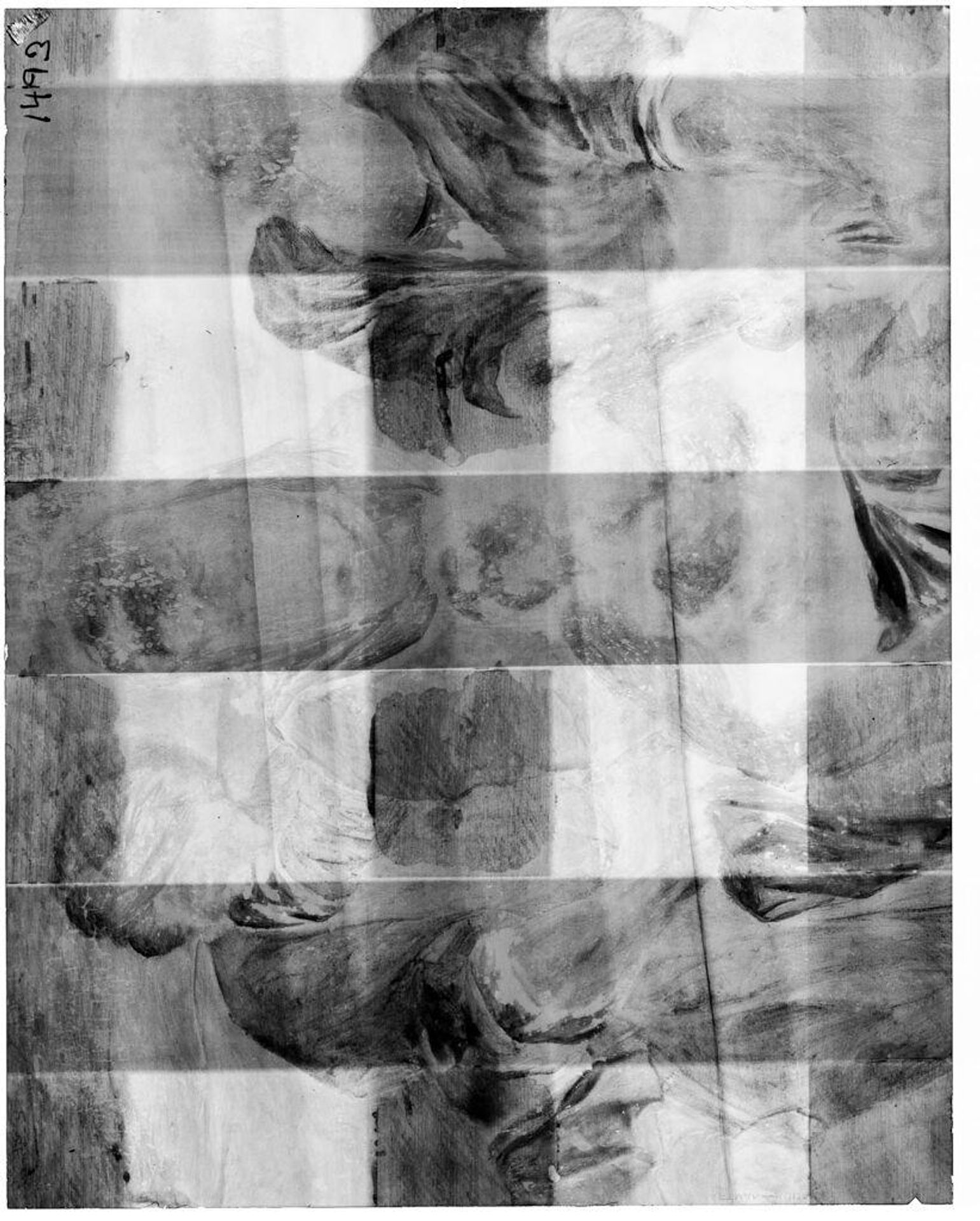 X-radiograph(s) of "Raising of Lazarus" by Artist of original: Jacopo Palma (called il Vecchio)