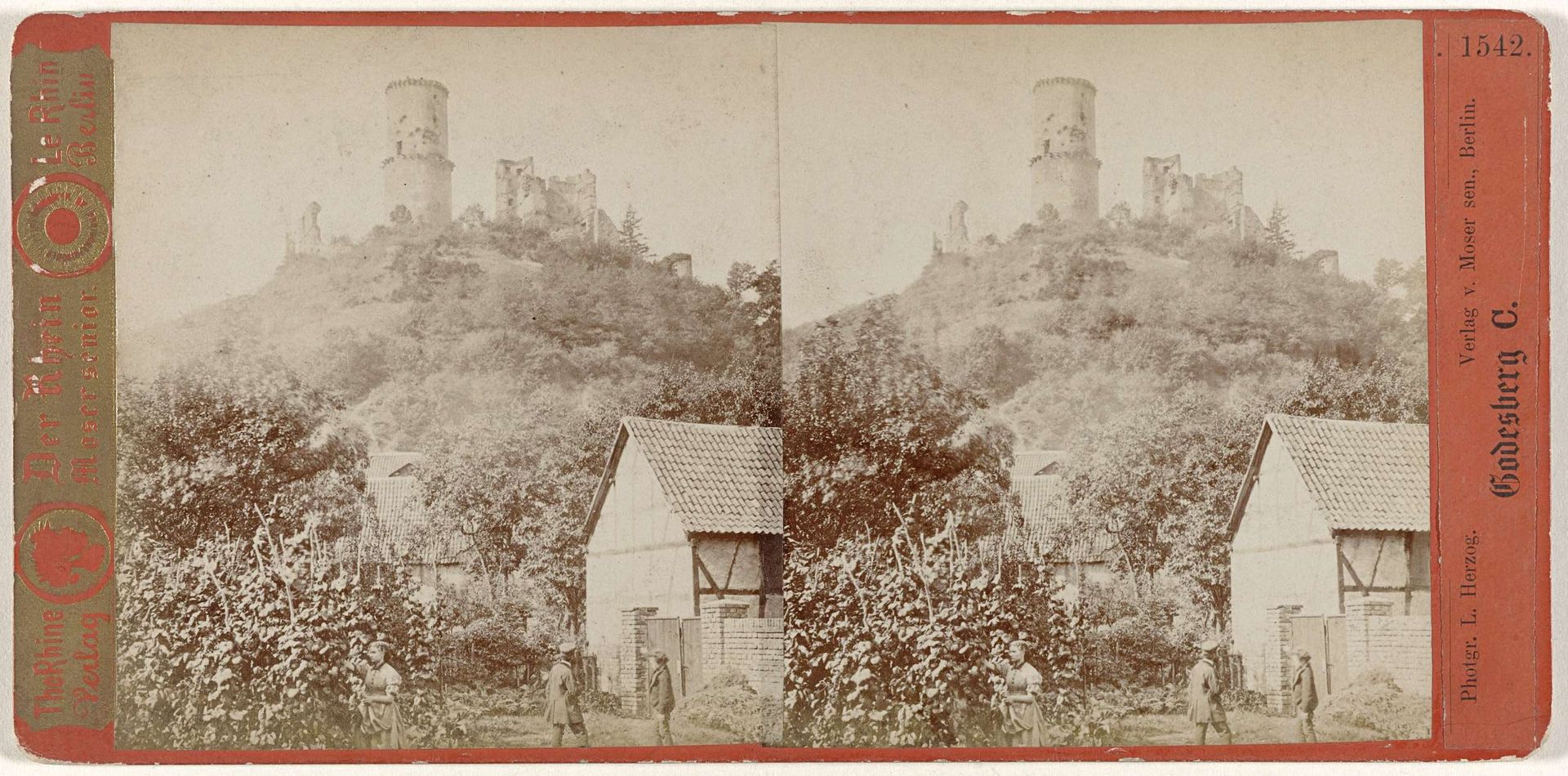 Gezicht op de Godesburg in Bad Godesberg, Duitsland by Laurentius Herzog