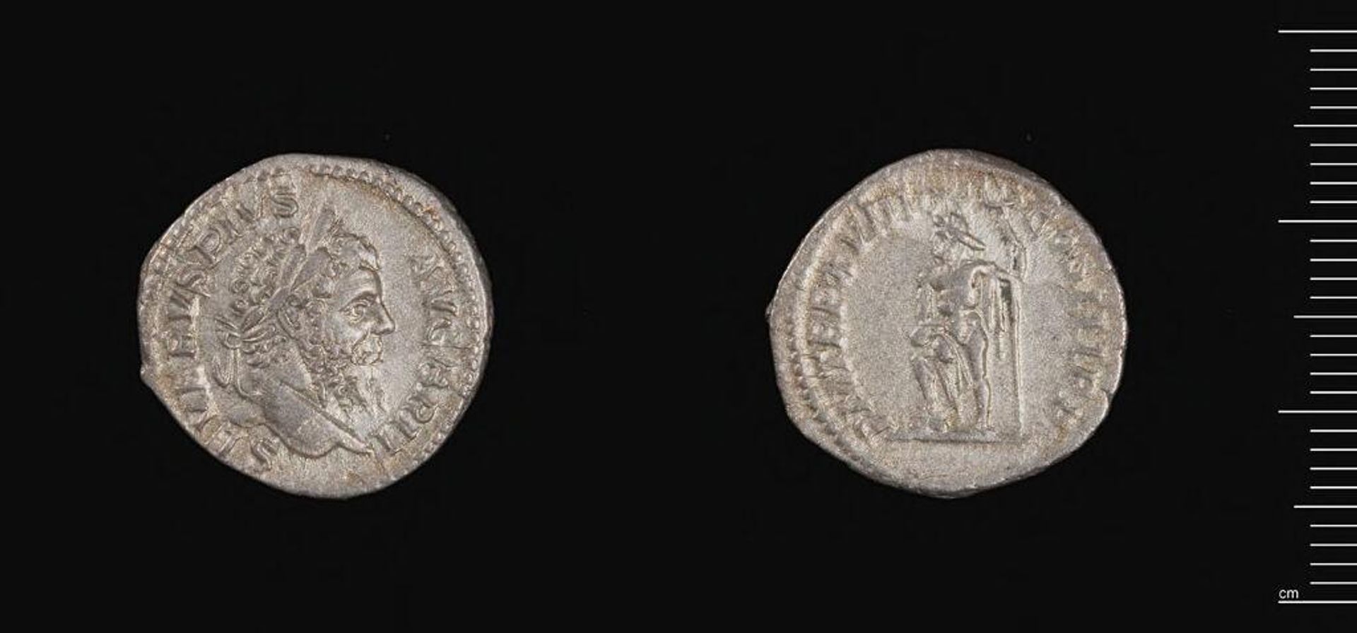 Denarius of Septimius Severus by Septimius Severus
