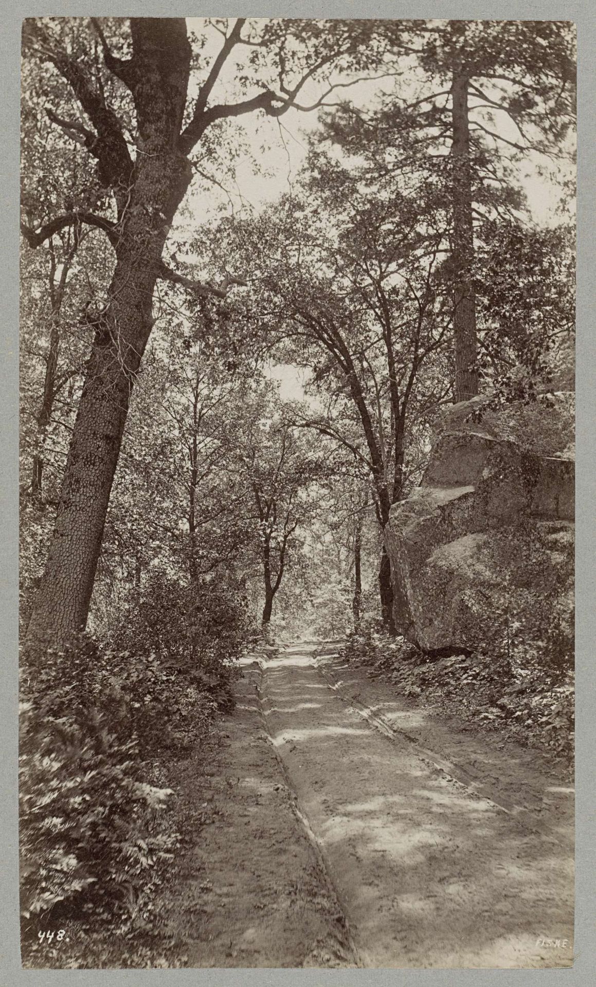 Weg met karrensporen in een bos in de Verenigde Staten by George Fiske