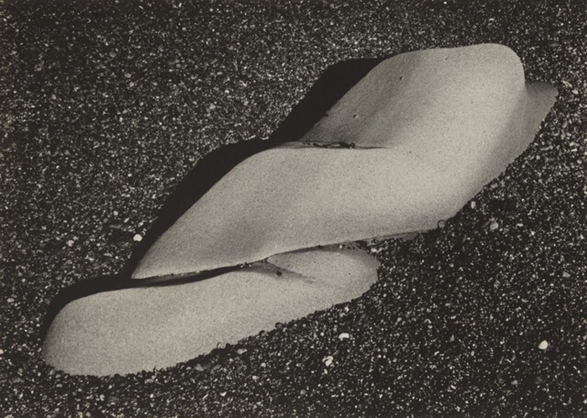 Rock Erosion, Point Lobos by Edward Weston