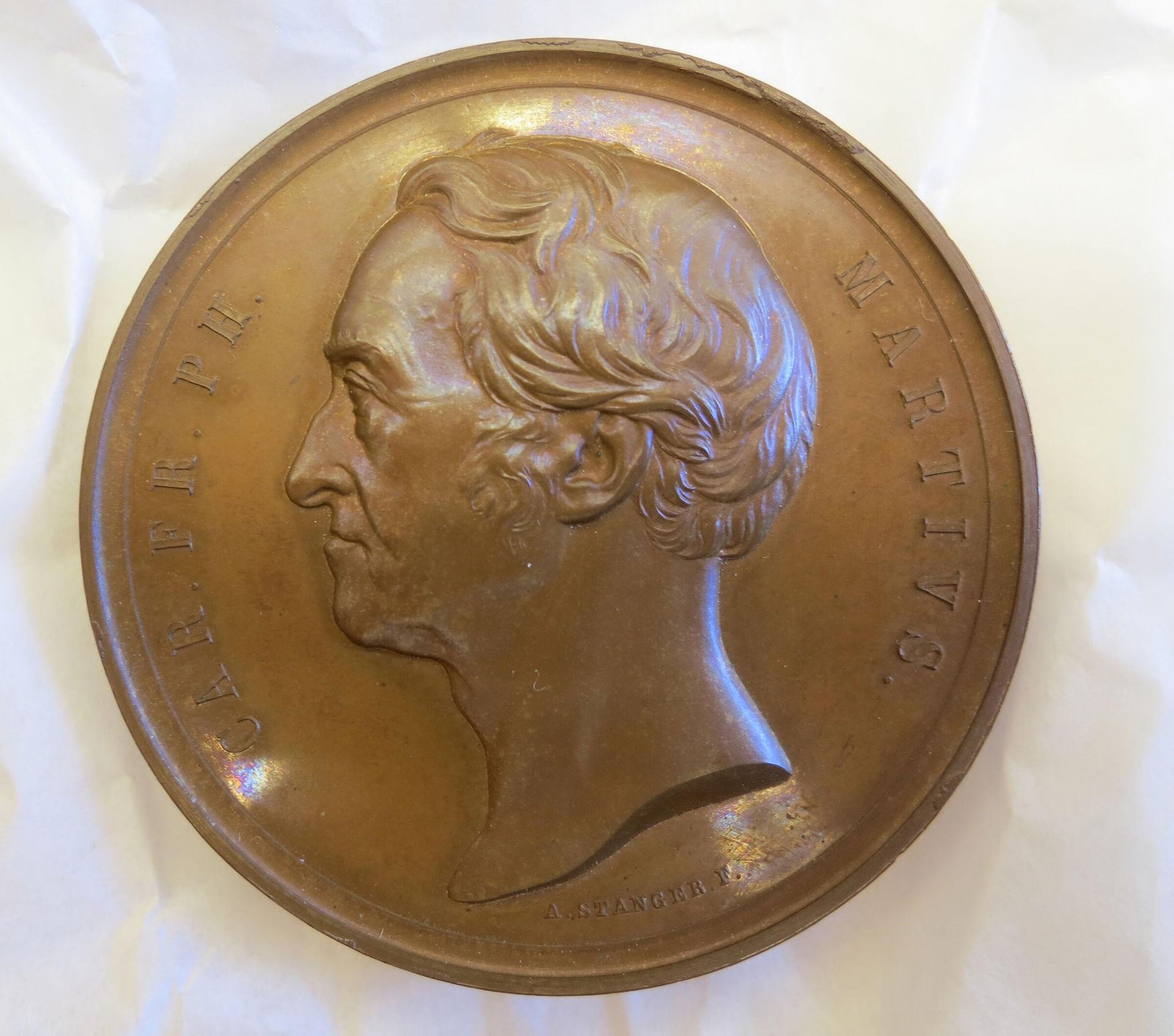 Karl Friedrich Philipp von Martius (1794-1868) by Alois Stanger