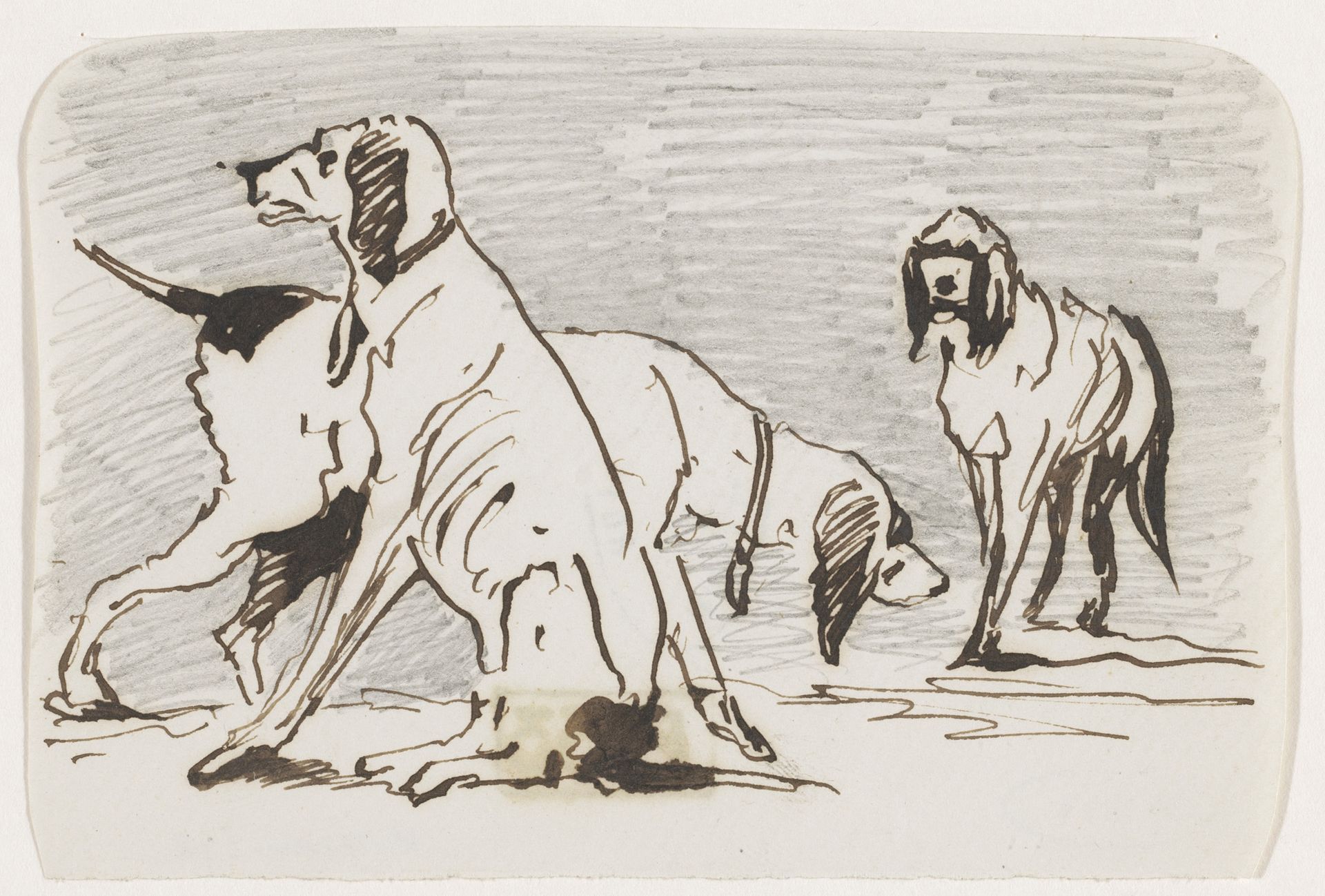 Drie jachthonden by Johannes Tavenraat