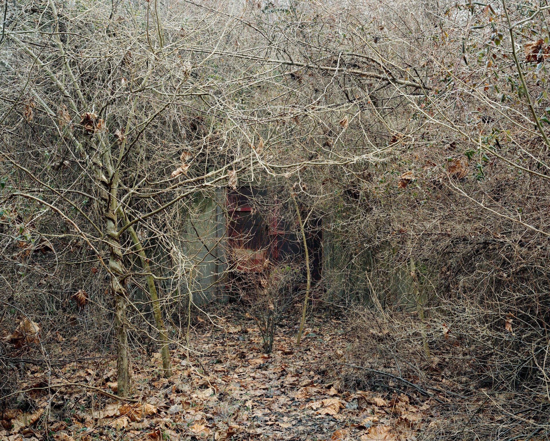 TNT Storage Igloo N7-A, Point Pleasant, West Virginia by Joshua Dudley Greer