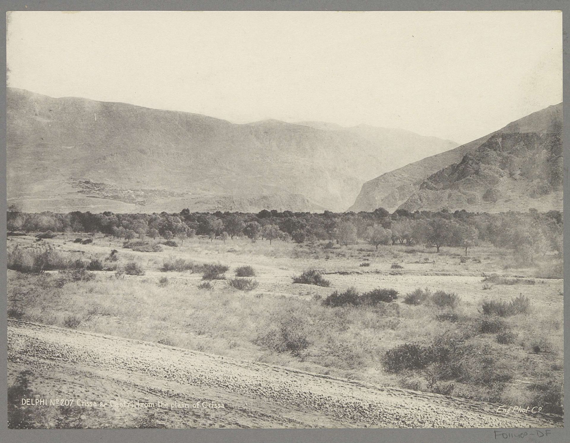 Gezicht op de vlakte van Crissa en Castri bij Delphi by English Photo Co.