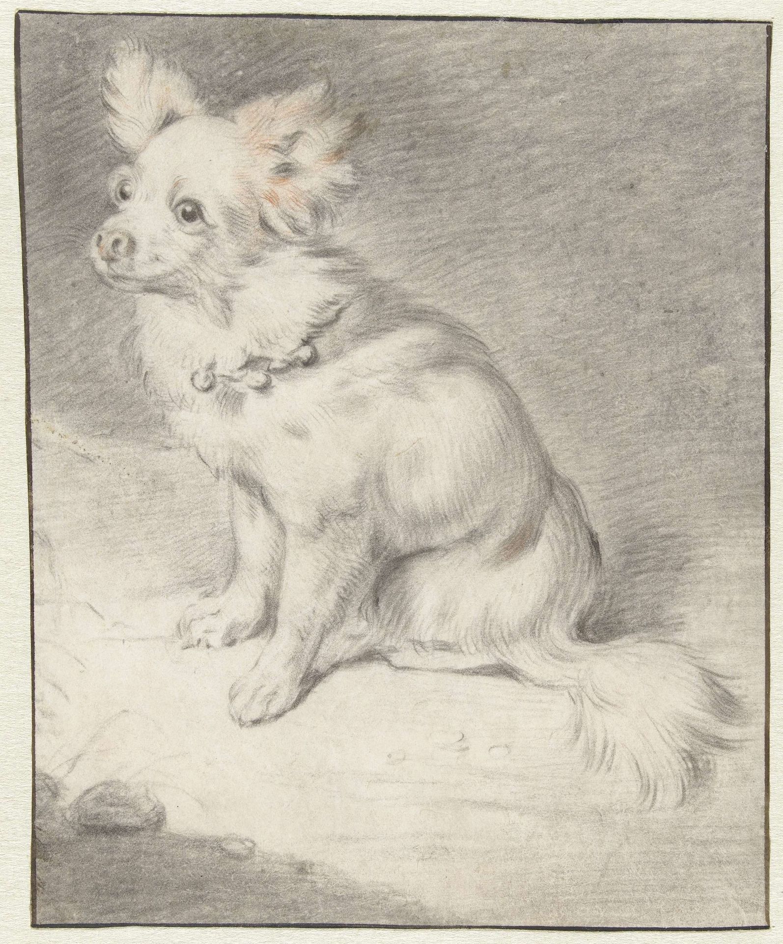 Seated Dog by Cornelis Visscher