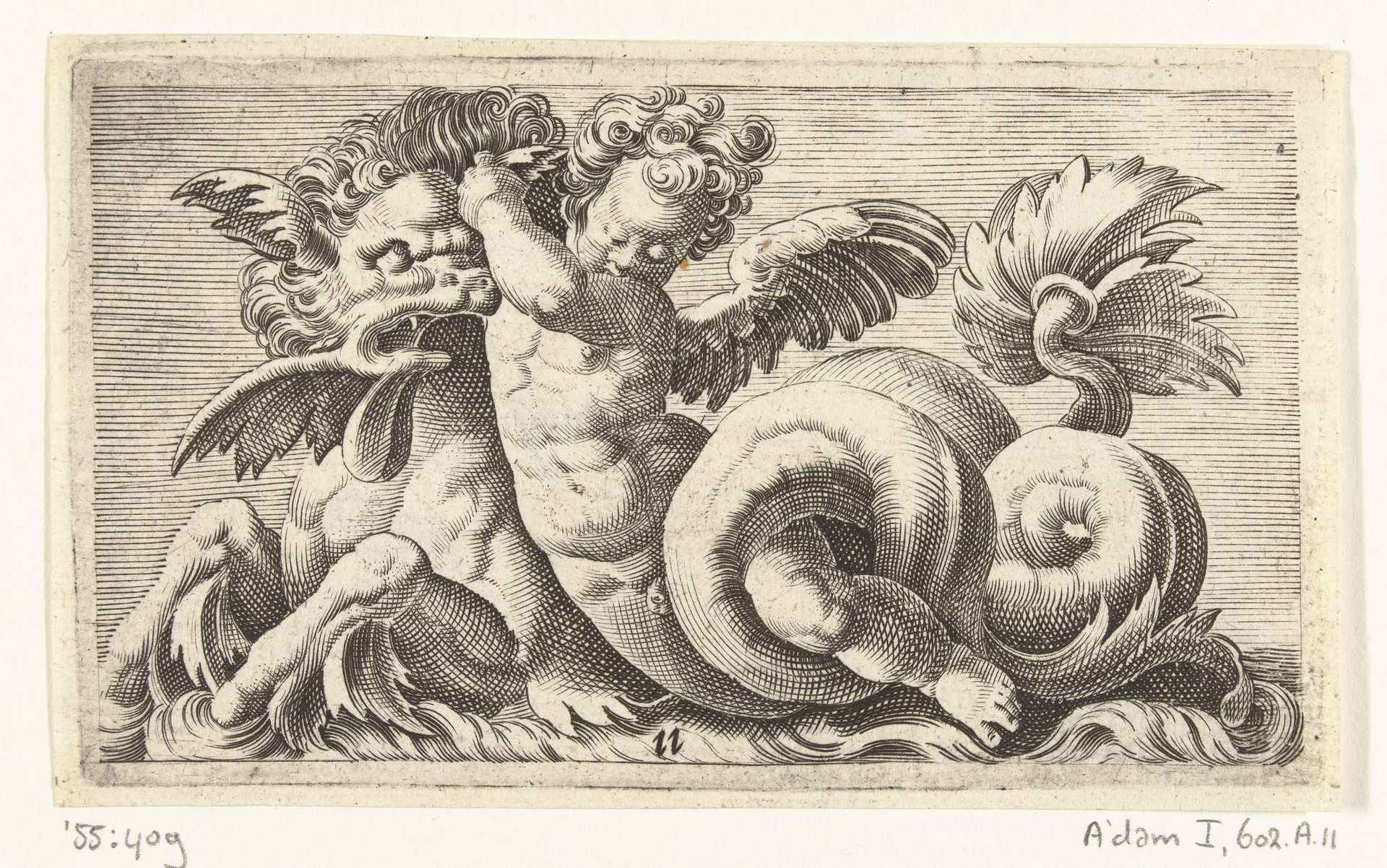 Putto, zittend op een zeeleeuw by Adam Fuchs